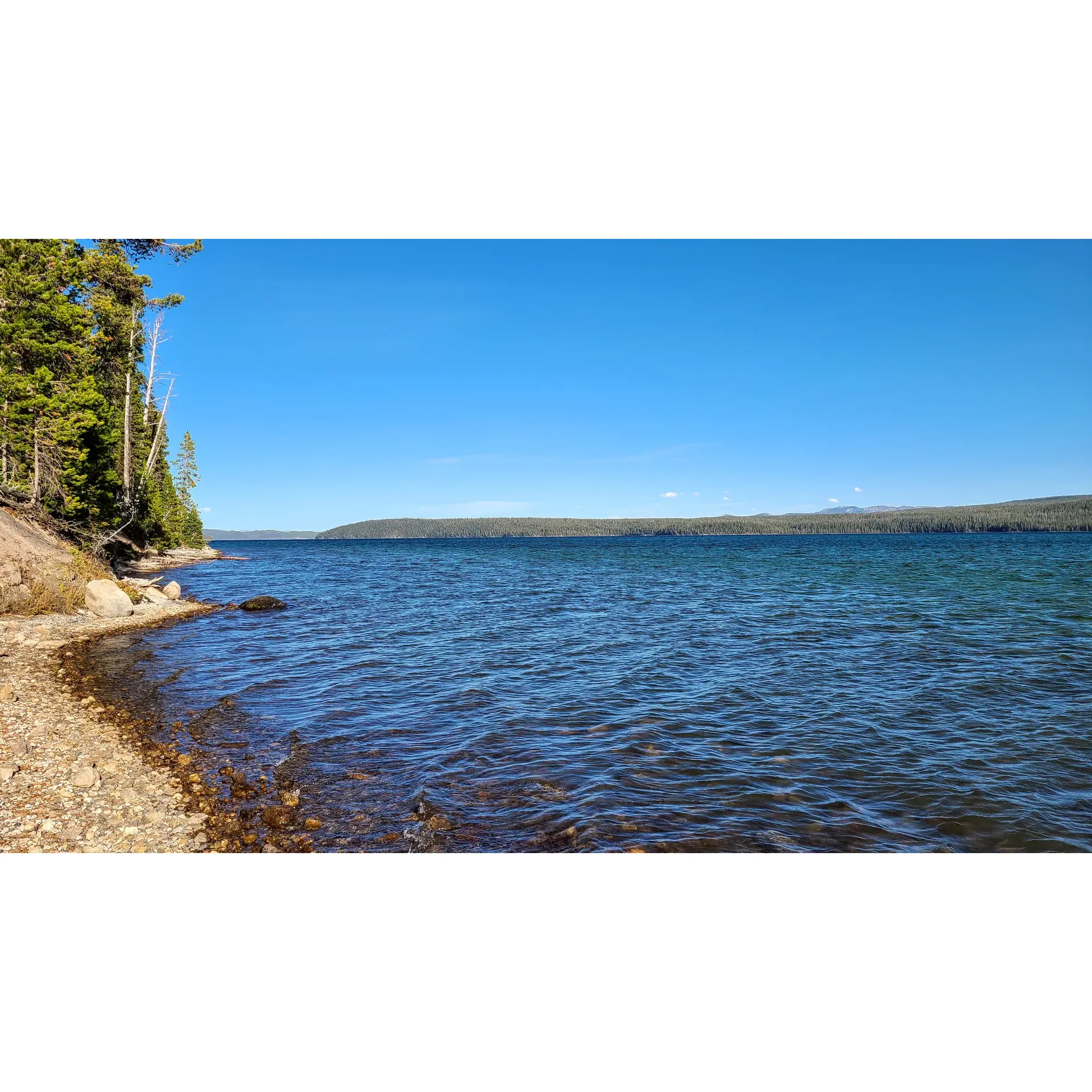 Basin Bay Point promises a serene and genuine back-to-nature experience. Situated a stone's throw from the gentle lap of Shoshone Lake's shores, this camping haven is a treasure trove for outdoor enthusiasts. Just under a mile's adventure through the wonders of nature leads you to the awe-inspiring expanse of a large geyser basin, a spectacular display of Earth's geothermal energy.

Comfort meets the great outdoors—as visitors can appreciate the convenience of a sturdy outdoor toilet seat, ensuring basic necessities are well-met amidst the wilderness. The area is a hotspot for wildlife watching, with numerous squirrels, chipmunks, and a variety of birds offering delightful company and a chance to reconnect with the natural world.

An emphasis on preserving the pristine environment means that campfires are respectfully omitted from the experience, allowing for an authentic appreciation of the surroundings, undisturbed. The isolation of the peninsula ensures a peaceful retreat, where the whispers of the forest and the rhythmic sounds of the lake provide a tranquil soundtrack to an unforgettable camping adventure. Description by ChatGPT.