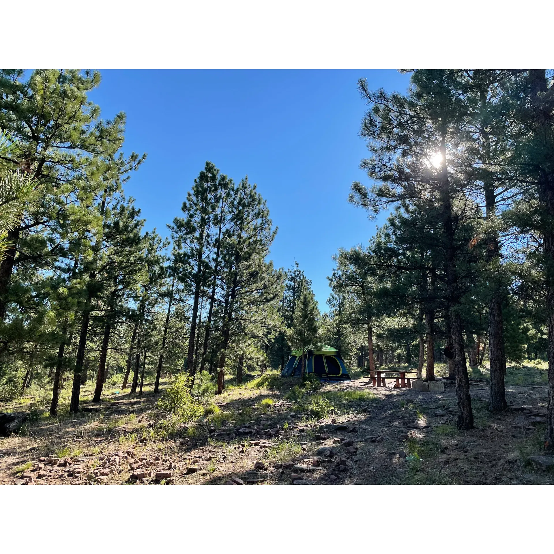 Skull Creek Campground is an enchanting retreat for nature enthusiasts, offering a serene getaway tucked away among towering pines at an elevation of 8000’. The campground delivers a genuine outdoor experience with an array of wildlife sightings right at your doorstep. Campers often share delightful stories of serene moments spent watching chipmunks, squirrels, deer, antelope, and even moose with their young, all coexisting within the campground's peaceful surroundings. 

Each campsite comes equipped with the necessary comforts to enhance your stay, including a fire pit for cozy evenings under the star-speckled sky and a picnic table for convenient outdoor dining. Visitors rave about the clear night skies, which provide a perfect backdrop for stargazing far from the city lights. 

The campground is maintained with cleanliness in mind, offering well-kept outhouses which ensure basic needs are met. A notable feature is the easy access to the grounds through a decent paved road that weaves through the pines, leading you to the spacious gravel sites. Both back-in and pull-through sites are available to accommodate a range of vehicles, from tents to larger RVs. 

Adventure seekers can embark on a scenic hike on the marked trail from the campground to Green Lake, embracing the cooler temperatures and lush surroundings distinct to the higher elevation. This family-friendly haven is celebrated for its tranquil ambiance, abundant shade, and the gentle sounds of nature, including the distant, soothing moans of cows. 

Simple by choice, the facilities honor the rustic spirit of camping, encouraging visitors to bring their essentials such as water. The campground offers tent pads, ensuring a level sleeping area to improve the camping experience. 

With its inviting setting, Skull Creek Campground is a cherished destination for both seasoned campers and those seeking their first outdoor adventure. Its peaceful and not overcrowded atmosphere makes it a location guests are eager to return to, promising an immersive escape in the great outdoors. Description by ChatGPT.