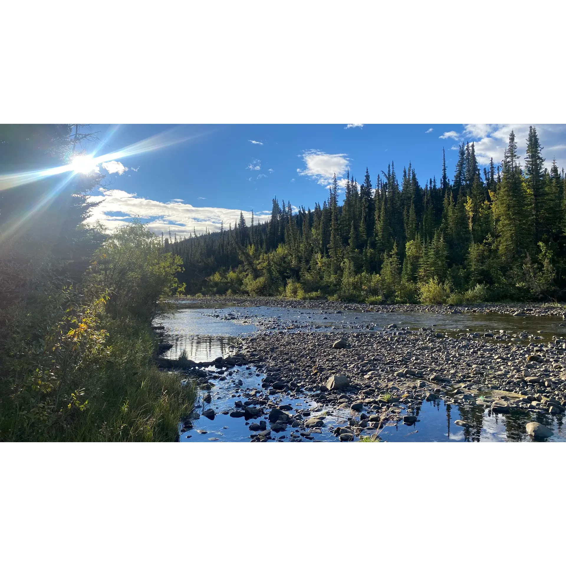 Buckinghorse River Wayside Provincial Park provides travelers with a serene and convenient camping haven, offering effortless accessibility through its well-maintained road that easily accommodates larger trailers, RVs, and even those needing rescue access. The park boasts a streamlined, self-registration process with a secure deposit box, ensuring a seamless check-in experience at an affordable rate of $20.00 per night.

Campers can enjoy a selection of river side sites, each assuring a peaceful and tidy environment to unwind. With approximately 20 off-grid sites available, this campground emerges as an ideal locale for those seeking an authentic overnight outdoor retreat. Amenities include well-constructed pit toilets, enhancing the natural camping experience.

Revel in the tranquil sound of the river as the backdrop to your stay, complemented by the spaciousness of each site. While the sites offer grandeur in size, they also provide a sense of intimacy conducive to privacy. The provision of fire pits and picnic tables at every site invites campers to indulge in the time-honored traditions of storytelling and al fresco dining amidst the wilderness.

Though cell service may ebb and flow like the river itself, the park's remote charm is augmented by thoughtfully crafted cedar pit toilets, which not only elevate the rustic atmosphere but also minimize odors. For those looking to complete their camping experience, firewood is available for purchase.

Whether it's a quick stopover or a leisurely riverside respite, Buckinghorse River Wayside Provincial Park extends an impeccable blend of accessibility, tranquility, and outdoor charm, making it a must-visit destination along the Alaska Highway for both tent campers and RV enthusiasts alike. Description by ChatGPT.