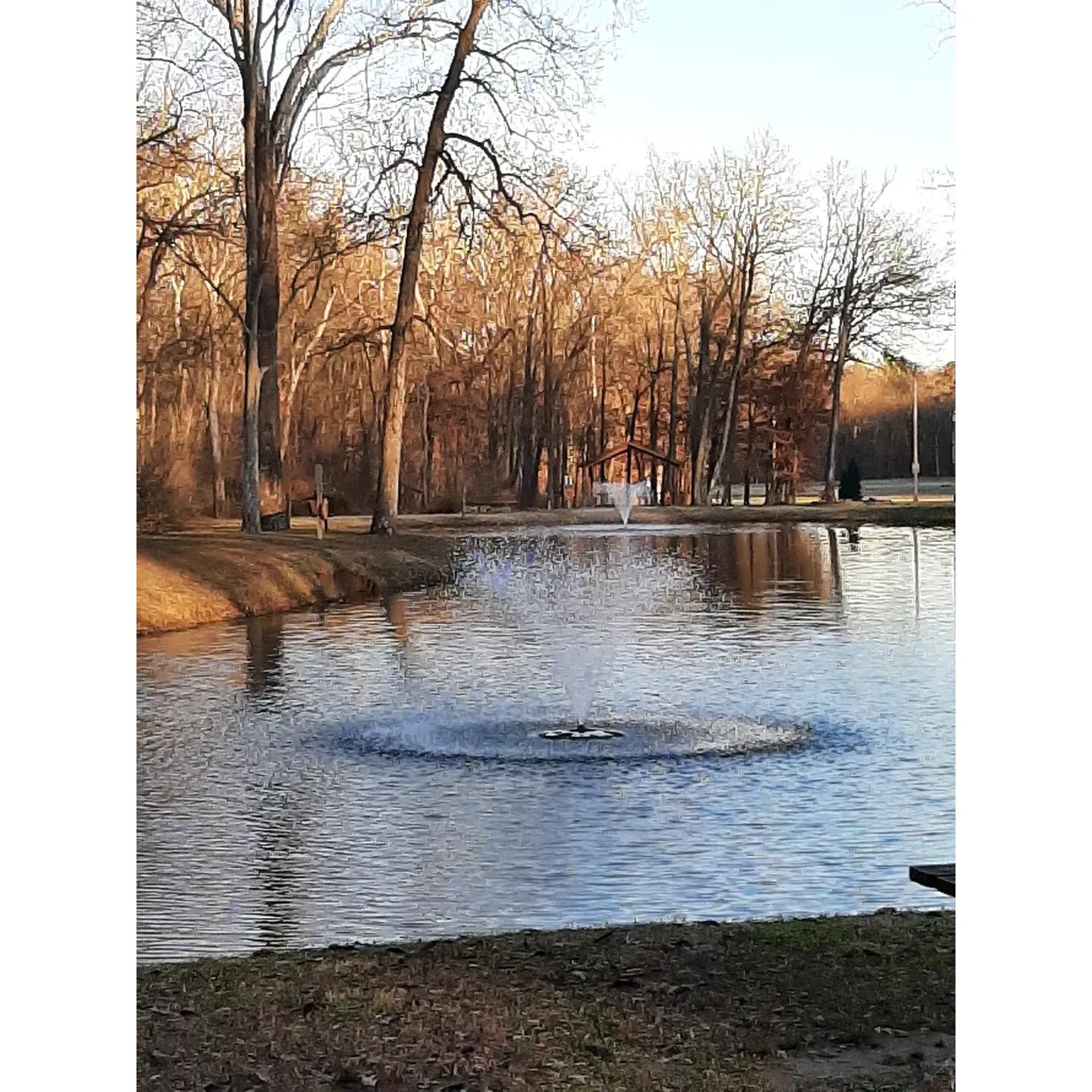 Burrell Woods Bicentennial Park emerges as a tranquil oasis providing an array of amenities for outdoor enthusiasts and nature lovers alike. The park's well-maintained pavilions and ample picnic tables offer the perfect setting for family gatherings, birthday parties, reunions, and even weddings, reflecting its versatility as a social hub for celebrations or peaceful retreats.

Visitors looking for recreational activities can easily access the dedicated dog park via a connecting road through the scenic west field, welcoming guests and their furry companions to a space designed for play and interaction. At the heart of the park, strategically sited within the wooded area atop a picturesque hill, are the clean and convenient facilities including showers and restrooms, ensuring guest comfort during their stays.

The park's serene environment is complemented by a rustic cabin that, while not available for lodging or dining, stands as a distinctive landmark inviting onlookers to appreciate its simple charm. Nearby, a shelter house situated merely a stone's throw away creates the ideal spot for outdoor grilling or enjoying a picnic surrounded by nature's beauty.

For those who appreciate staying connected, the park boasts very good Wi-Fi connectivity, enhancing the guest experience. Moreover, the park's notable cleanliness and competitive pricing have garnered accolades, as reflected by visitor satisfaction. Its friendly and dedicated crew is diligent in maintenance, noticeable with the pristine playground that promises a safe and enjoyable experience for younger visitors.

Adding to its allure, Burrell Woods Bicentennial Park features a new nature walk that has captivated both adults and children alike, offering hands-on exhibits that foster learning and engagement with the environment. As an accessible getaway just outside of town, the park is admired for its well-kept grounds and commitment to environmental preservation, appealing to those who value a pristine setting for their outdoor adventures. Description by ChatGPT.