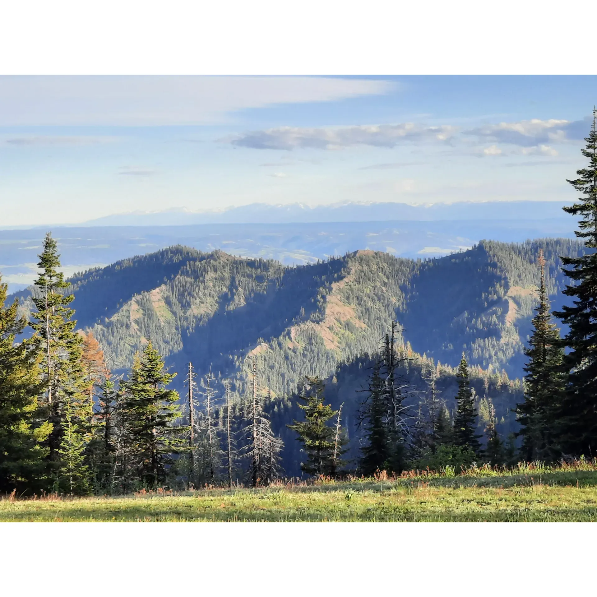 Wickiup Campground invites outdoor enthusiasts to enjoy a tranquil camping experience amidst the splendor of the Blue Mountains. This picturesque campground offers well-maintained amenities, including picnic tables at each site, complemented by freshly painted surfaces to enhance your outdoor dining experience. Guests are encouraged to engage with the natural beauty that envelops the campground, where majestic views of the surrounding landscape serve as the perfect backdrop for your stay.

Visitors looking for a rustic adventure will appreciate the convenient fire pits available for cozy evenings under the starlit sky. Nature's serenity is on full display at Wickiup Campground, ensuring a relaxing retreat from the hustle of everyday life. While the campground operates without running water, a natural spring is located nearby, allowing campers to easily bring in water for their needs.

The Washington Forest Service diligently maintains Wickiup Campground, ensuring cleanliness and purity throughout the area. Both the campground's facilities and natural areas are kept in pristine condition for the enjoyment of all guests. The campground's strategic location offers captivating views of the Blue Mountains, especially to the southwest, where the landscape paints a view worth waking up to each morning.

With its combination of essential comforts and untouched wilderness, Wickiup Campground stands out as a perfect spot for campers who appreciate the splendors of nature, delivered with an exceptional commitment to maintaining a clean and inviting outdoor space. Description by ChatGPT.