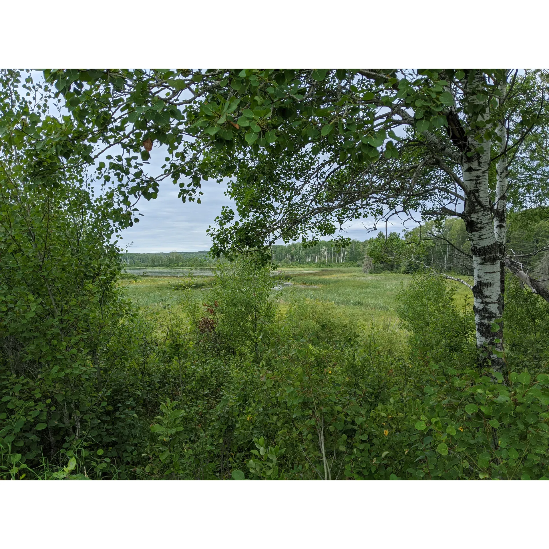 Birdtail Campground is a picturesque camping site located in Manitoba, Canada, with the address  Manitoba R0J 0Z0. The campground offers a serene and natural setting surrounded by forests and a peaceful atmosphere, making it an ideal spot for those looking to unwind and reconnect with nature.

Visitors to Birdtail Campground can enjoy a variety of recreational activities, such as hiking, birdwatching, fishing, and canoeing, allowing for a truly immersive outdoor experience. The campground also offers facilities such as picnic areas, fire pits, and clean washrooms for the convenience of its guests.

Whether you're looking for a weekend getaway or a longer camping trip, Birdtail Campground provides a tranquil setting where you can relax, unwind, and enjoy the beauty of nature. With its well-maintained grounds and array of outdoor activities, it's a great destination for anyone seeking a peaceful escape in the wilderness of Manitoba. Description by ChatGPT.