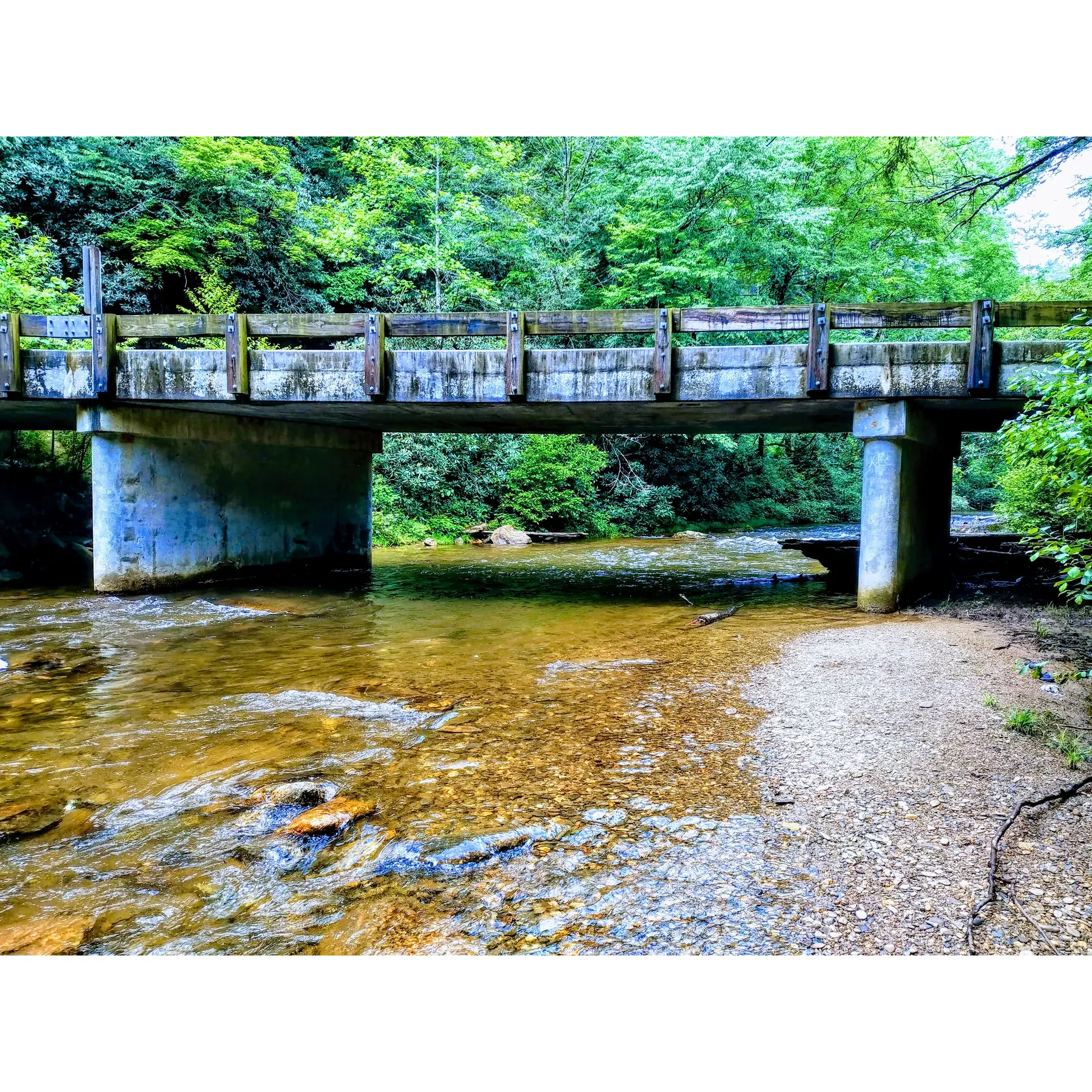 Experience the serenity of the great outdoors at Low Gap Campground, an ideal retreat for nature enthusiasts and those seeking tranquility away from the hustle and bustle of everyday life. Surrounded by the picturesque scenery of a lush forest, Low Gap offers a multitude of spots right by the gentle flow of Low Gap Creek, where visitors can set up camp and immerse themselves in the soothing sounds of nature.

Campers are treated to the convenience of clearly marked sites, each equipped with durable pads perfect for tent set-up and fire rings ready to host your evening under the stars. Facilities maintain a rustic charm consistent with the wilderness vibe, including a trash box on the campground to ensure the natural beauty of the area is preserved.

Although the camp does not provide bear boxes or trash cans, the 'pack it in, pack it out' ethos strongly emphasizes environmental responsibility, adding to the appeal for those who cherish nature and wish to leave no trace. While some amenities are basic, with chemical toilets situated across the river, the focus at Low Gap Campground is on the simplicity and purity of outdoor living.

The journey to Low Gap Camp for visitors with high-clearance vehicles promises an adventure through nature's terrain, but the destination is a rewarding hideaway promising peace and privacy. The proximity to the charming town of Helen affords adventurers the option of nearby day trips for local explorations.

Be sure to come prepared, bringing your own firewood and bottled water to maximize your comfort. Reservations at Low Gap are a must, so be sure to plan ahead to secure your spot in this tranquil paradise. Embrace the opportunity for a restful escape in one of the campground's peaceful spots, and create memories in a setting that celebrates simplicity, peace, and the natural splendor of the great outdoors. Description by ChatGPT.