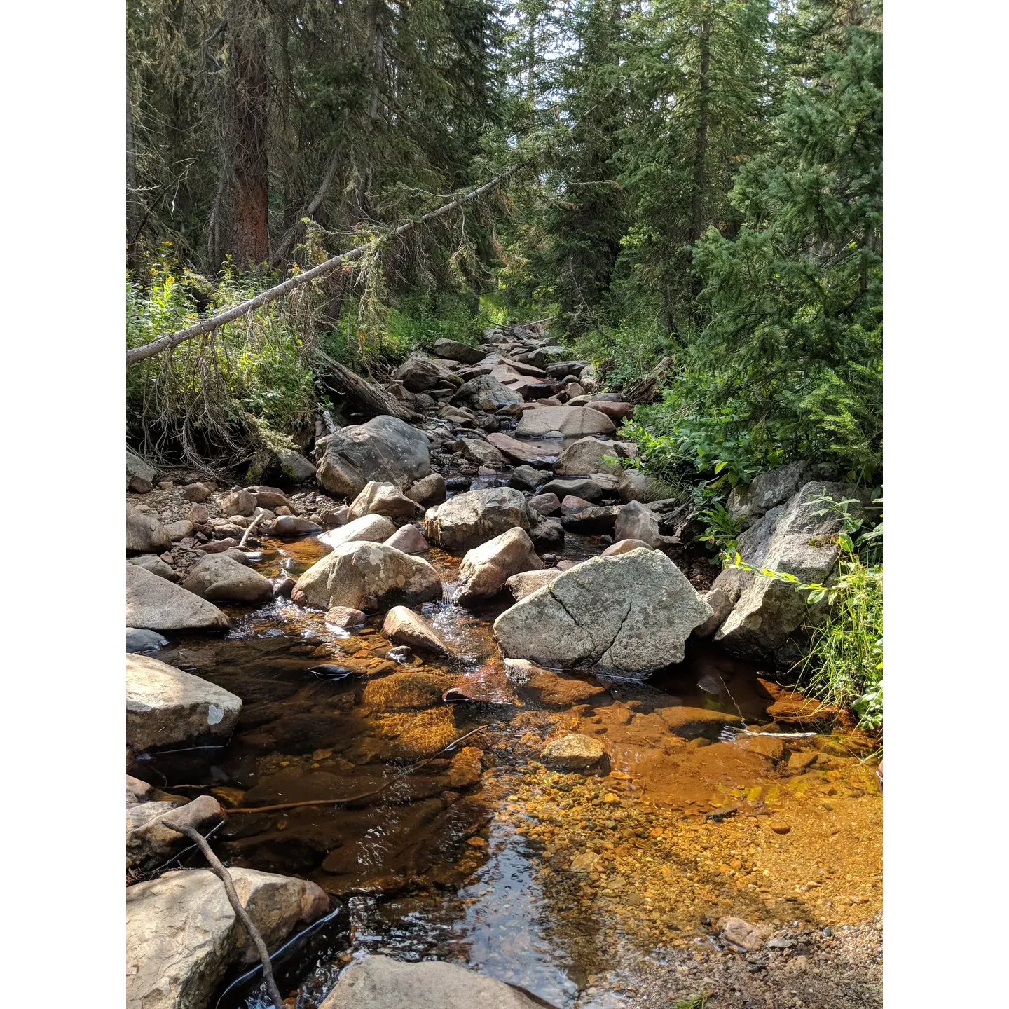 Ditch Camp offers an escape to the serenity of nature in the heart of the Rocky Mountain National Park's breathtaking landscape. Situated to the east of the grand ditch, this backcountry camp provides a truly rustic outdoor experience for adventurers seeking a haven away from the bustle of the conventional trails. While it might be a hidden gem not accurately marked on every map, its authentic setting rewards those looking for a scenic retreat with a more intimate connection to the wilderness.

Visiting Ditch Camp means you'll have the opportunity to immerse yourself in the undisturbed beauty that only the backcountry can offer. The camping site serves as an ideal base for exploring the surrounding natural wonders, including lush forests, alpine vistas, and the vibrant wildlife that calls this part of the Rockies home. With its relatively untapped surroundings, visitors can appreciate the tranquility and solitude that make for an unforgettable outdoor experience. Whether you are an experienced backpacker or someone looking to delve deeper into the backcountry adventure, Ditch Camp promises a memorable stay amidst some of the most splendid scenery the Rocky Mountain National Park has to offer. Description by ChatGPT.