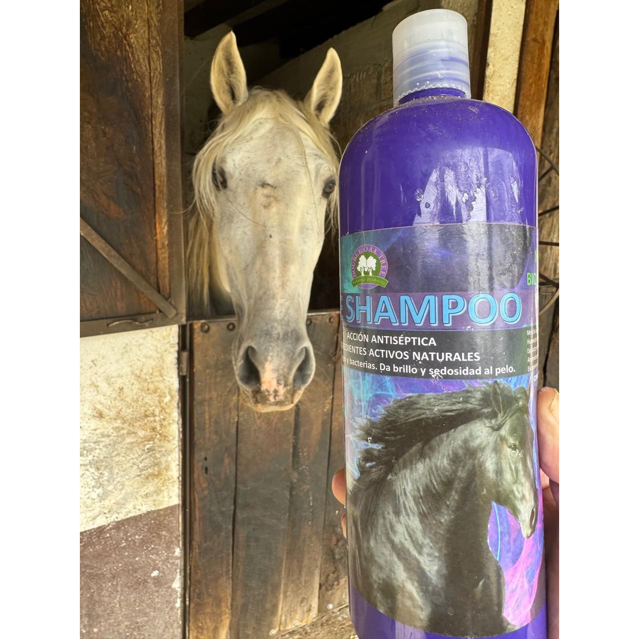 New Natural Shampoo for Horses - Beauty, Health and Protection in Every Wash. Does your horse have a dull, dry, or dandruffy coat? We have the perfect solution!