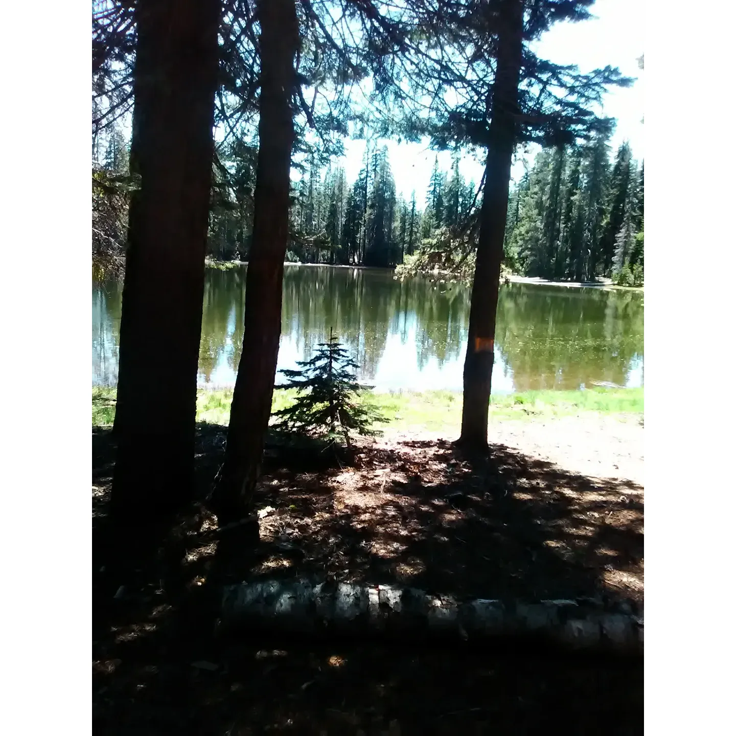 Blanche Lake Campground is a serene outdoor destination for campers who appreciate the beauty of the natural landscape and the soul-soothing tranquility it provides. Situated in an area of picturesque charm, the campground offers a pure escape from the hustle and bustle of daily life. This sought-after retreat is a wonderful choice for dispersed camping, providing essential amenities such as a clean vault toilet to enhance the experience of rustic outdoor living.

Guests are often struck by the beauty and quietude of the surroundings, with many describing their stay as a nearly spiritual experience. It's a perfect spot for nature enthusiasts and those looking to indulge in moments of peaceful reflection under the canopy of the great outdoors. Although Blanche Lake itself is admired for its stunning vistas, fishing enthusiasts will be thrilled to discover the nearby Bullseye Lake, which is just a short journey away. Here, the fishing opportunities are abundant, with plentiful Rainbow trout making for an exciting challenge for both amateur and seasoned anglers.

For the adventurous souls willing to brave the winter months, the campground transforms into a snow-covered wonderland. Accessible by snowmobile, it presents a unique opportunity for ice fishing, though one should come prepared with the necessary equipment like an auger to penetrate the icy surface.

Blanche Lake Campground is cherished by visitors not only for its natural beauty but also for the array of outdoor activities it supports. Whether seeking solitude, the thrill of a catch, or simply a place to reconnect with nature, this campground exemplifies the very essence of a picturesque outdoors retreat. Description by ChatGPT.