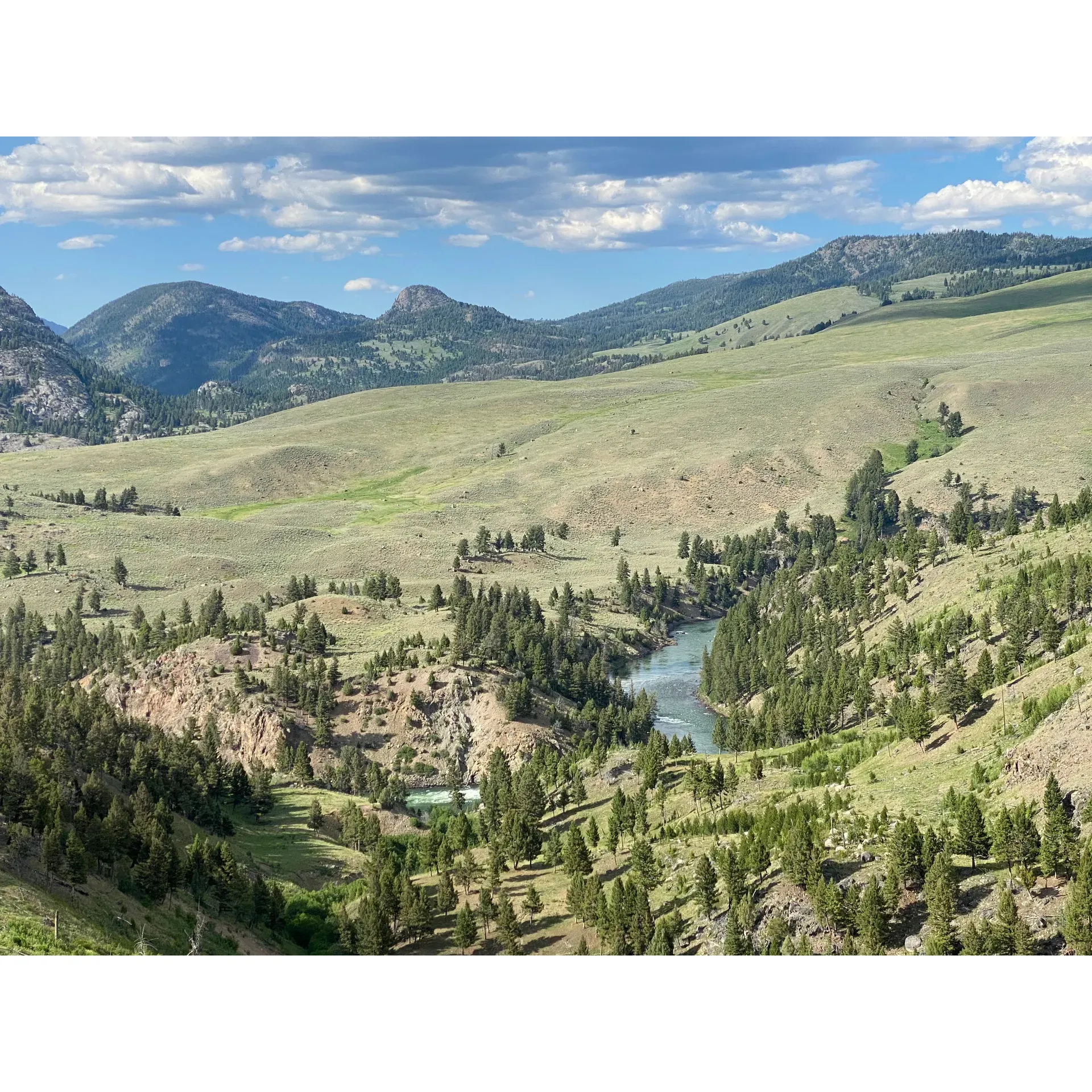 Immerse yourself in the breathtaking landscapes of Hellroaring Creek 2h3, where stunning vistas and diverse terrain await adventurers and nature enthusiasts alike. This trail offers a unique hiking experience with its distinct sandy dust paths that set it apart from the more commonly trodden tracks of the Tetons and Yellowstone. 

Embark on a journey surrounded by an abundance of wildflowers that paint the trail in vibrant colors, providing a picturesque backdrop for hikers. The area is also a haven for wildlife, giving visitors the opportunity to encounter the local fauna in their natural habitat — a truly memorable experience for wildlife watchers.

This trail is perfect for those looking to soak in panoramic views without committing to an extended trek, as the path leads to a magnificent viewpoint without the need for venturing onto the more demanding camping trail. 

The initial leg of the journey challenges hikers with a steep 600-foot descent within the first 1.1 miles, where one traverses through Douglas-Fir forests that bear the marks of historical natural events. The path continues, revealing the opportunity to take the Garnet Hill Spur Trail for those wishing to extend their hike, before arriving at an exhilarating crossing of the Yellowstone River. Here, a grand steel suspension bridge, dating back to 1935, offers a thrilling vantage point over the rushing waters below. 

Not only is the trail visually stunning, but it also provides a sense of tranquility, with the serene and cool Hellroaring Creek accompanying hikers along their retreat into nature. As the day gives way to evening, the peaceful rustling of wildlife foraging at dusk adds to the ambient splendor — perfect for those cherishing quiet, magical moments in the wild.

Whether seeking solace in nature, looking for a moderate hiking challenge with about 700 feet in elevation change, or a chance to absorb the natural beauty through vibrant flora and curious fauna, Hellroaring Creek 2h3 promises an escape that rejuvenates the spirit and delights the senses. Description by ChatGPT.