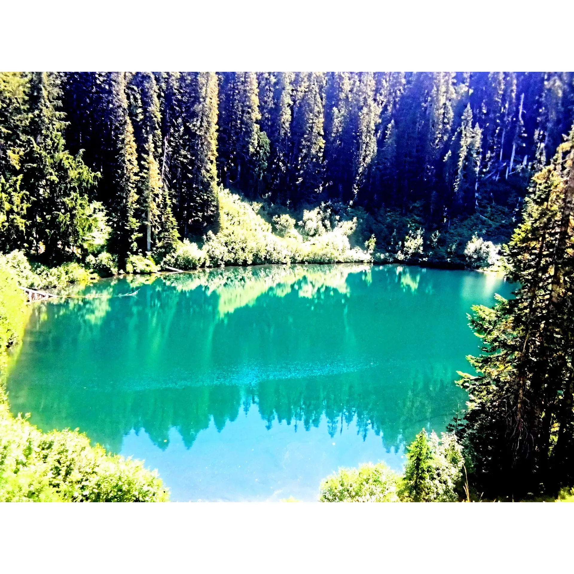 Wagonwheel Lake offers an invigorating challenge for the ardent hiker seeking adventure and scenic splendor. Surrounded by an oasis of lush vegetation, this alpine gem serves as the ultimate reward for those willing to tackle the demanding ascent. Hikers are treated to a dynamic workout amid the rugged terrain, with a symphony of switchbacks and steep gradients that guarantee to test endurance and resolve.

As hikers ascend through narrow pathways bordered by rich, dense foliage, the environment transforms to reveal a terrain sprinkled with loose rocks and entwined tree roots, adding an element of raw wilderness to the journey. The use of hiking poles is wisely suggested, aiding in navigation across the variable and challenging landscape. 

For those with an insatiable thirst for greater heights and panoramic vistas, continuing the trek towards Cub Peak provides an extension of discovery. Here, adventurers are rewarded with sweeping views that validate their efforts, enhancing the sense of achievement with each step.

Not only does the ascent to Wagonwheel Lake offer a physically rewarding undertaking, but it also presents an opportunity to revel in the area's natural beauty. Throughout the hike, the variety of wild berries offers a delightful encounter with local flora. Completing this trek bestows a notable notch in any hiker's belt, with the satisfaction derived from conquering one of Olympic Park's most challenging trails. Wagonwheel Lake is a destination that promises to leave a lasting impression, rich in both challenge and charm for the determined explorer. Description by ChatGPT.