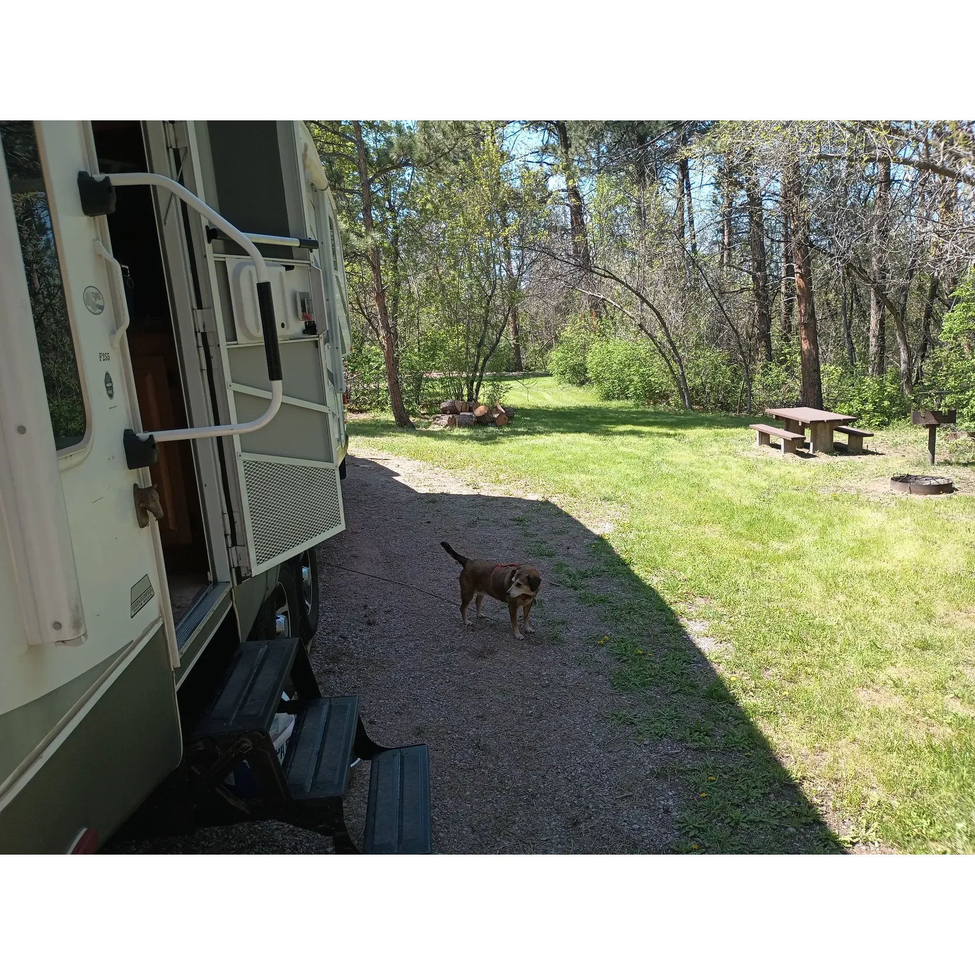 Red Cloud Campground offers a serene and picturesque setting for campers looking to immerse themselves in the natural beauty of the outdoors. Surrounded by a lush pine forest, this campground provides a peaceful retreat with the convenience of well-maintained facilities, including freshly mowed grassy areas, robust trash services, and one of the cleanest pit toilets praised for its cleanliness and durability during storms.

With 13 intimate campsite spaces featuring permanent picnic tables, the grounds cater to both tent campers and smaller RVs, with a select few spots available for larger rigs and fifth wheels. Visitors can enjoy the tranquility of the campground, often finding themselves in a quiet, laid-back environment perfect for extending their stay. The gravel pads ensure a stable base for setting up camp, with a focus on keeping the area natural and unspoiled.

Affordability is a key feature of Red Cloud Campground, with an accessible price of $10 per night, and a special rate for seniors at just $5. Off-season adventurers are welcomed to stay at no charge, allowing for year-round discovery and excitement.

Despite its intimacy, the campground offers the convenience of excellent AT&T cell coverage, ensuring that guests stay connected even while enjoying their nature escape. The Nebraska National Forest is merely a short walk away, inviting hikers to explore its endless trails and the stunning landscapes that unfold across the steep ridges.

Wildlife sightings add to the campground's charm, with local fauna such as rabbits and turkeys making appearances, delighting visitors and creating memorable encounters with nature.

With its balance of simplicity, natural splendor, and modern conveniences, Red Cloud Campground is an inviting destination for travelers journeying through, or those seeking a restful haven amidst the beauty of the forest. Whether stopping in for a quick rest or settling in for a multi-night stay, guests find this campground to be a delightful choice for their outdoor adventures. Description by ChatGPT.