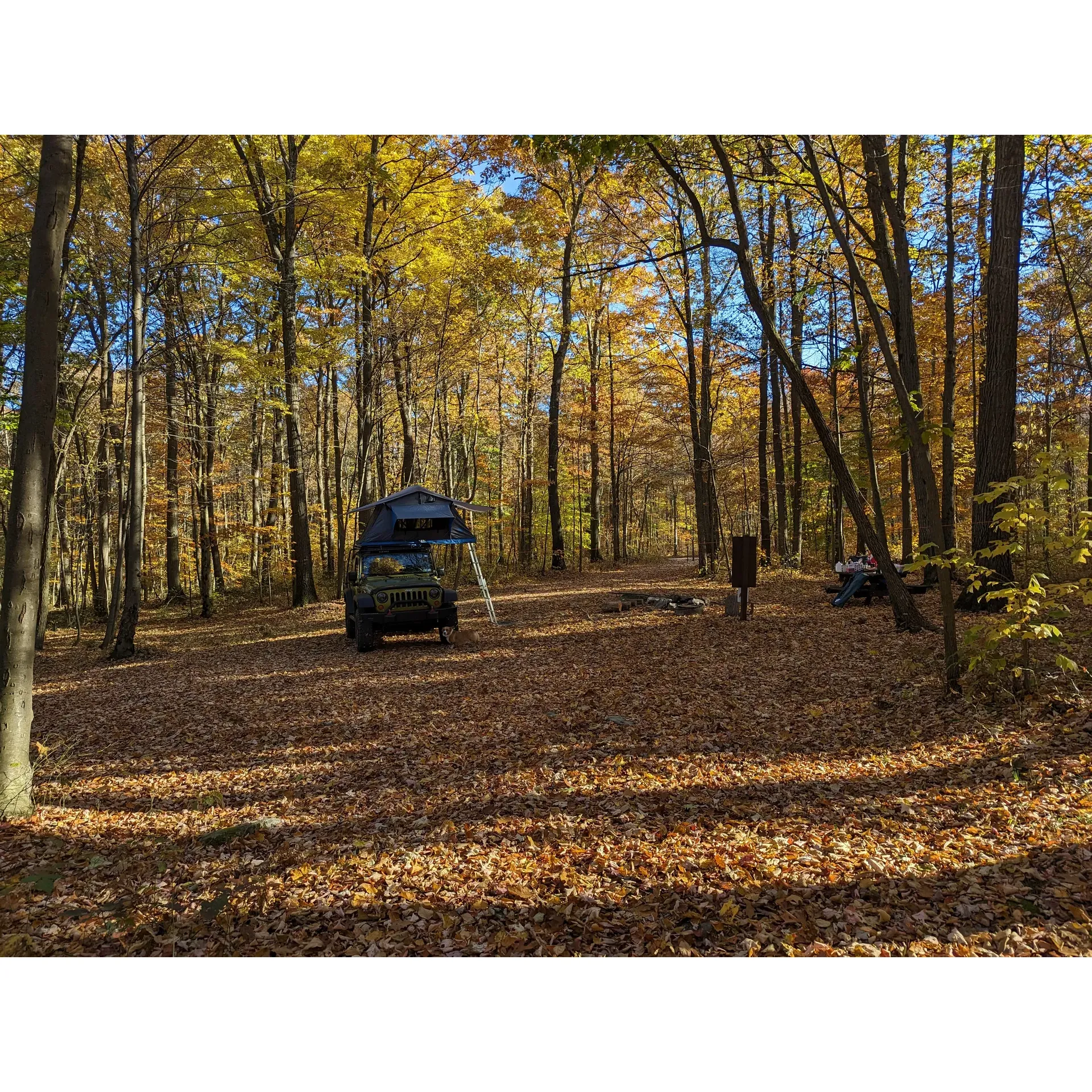 Nestled amidst the verdant expanses of the Laurel Highlands, Forbes Motorized Campsite #5 presents an idyllic getaway for outdoor enthusiasts looking to immerse themselves in natural beauty. Offering ample space to accommodate a variety of camping setups, this site provides visitors with an authentic wilderness retreat while maintaining the convenience of trail accessibility right at their doorstep.

Forbes Motorized Campsite #5 is highly regarded for its serenity and picturesque setting. The terrain is notably flat, ensuring ease of tent placement and a comfortable camping experience. Despite its proximity to the road, guests often remark upon the quietness that envelops this site, offering a peaceful respite from the bustle of daily life.

The campsite is perfectly situated for those who wish to explore the great outdoors. You can embark on an adventure through the surrounding trails or make a short trip to the renowned Laurel Highlands State Park, where a plethora of outdoor activities awaits.

The campsite's seclusion is a cherished feature amongst visitors, delivering a sense of privacy and solitude that is often sought after in a camping experience. Wildlife sightings and the rustle of leaves contribute to the immersive outdoor ambiance that can be enjoyed throughout one's stay.

Overall, Forbes Motorized Campsite #5 stands out as a desirable location for campers who value space, scenic surroundings, and a tranquil environment to disconnect and recharge in nature's embrace. Description by ChatGPT.