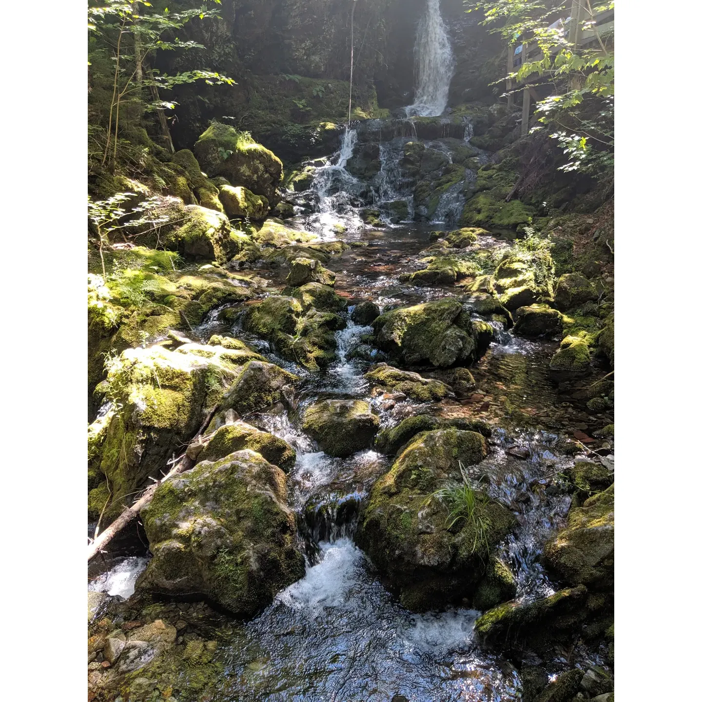 Escape into the splendor of nature with a rewarding hike along the Third Vault Falls trail, a hidden gem within Fundy Park, ready to allure avid hikers with an adventurous spirit. Embark on an invigorating 7.3km journey, where the path invites you with a playful sprinkle of small rocks underfoot. As you progress, the trail mellows into a serene stretch dominated by the intertwining roots of ancient trees, a testament to the forest's enduring presence. 

Those seeking the ultimate vista will find their perseverance rewarded when facing the final stretch—a steep descent that leads to the spectacular sight of Third Vault Falls. Here, the panoramic views unfold to reveal a breathtaking cascade framed by the lush greenery, offering a serene spot that justifies every step taken.

Delight in the sheer absence of mosquitoes and take in the crisp, fresh air as you wander through this idyllic landscape. Arrive at the falls and indulge in a well-earned respite, perhaps cooling off with a refreshing swim in the pristine waters during warmer months.

Ideal for a spontaneous day adventure or a meticulously planned outing, pack a lunch, bring ample water to stay hydrated, and remember that the journey is as enjoyable as the destination. Suit up in proper hiking footwear to navigate the rocky and steep terrains confidently, and follow the stream to ensure you're on the right path to discovery.

Whether you're sharing this experience with friends or taking a solo trip to reconnect with nature, Third Vault Falls offers an invigorating getaway filled with natural beauty and the peaceful sounds of cascading water—the perfect setting for time well spent. Description by ChatGPT.