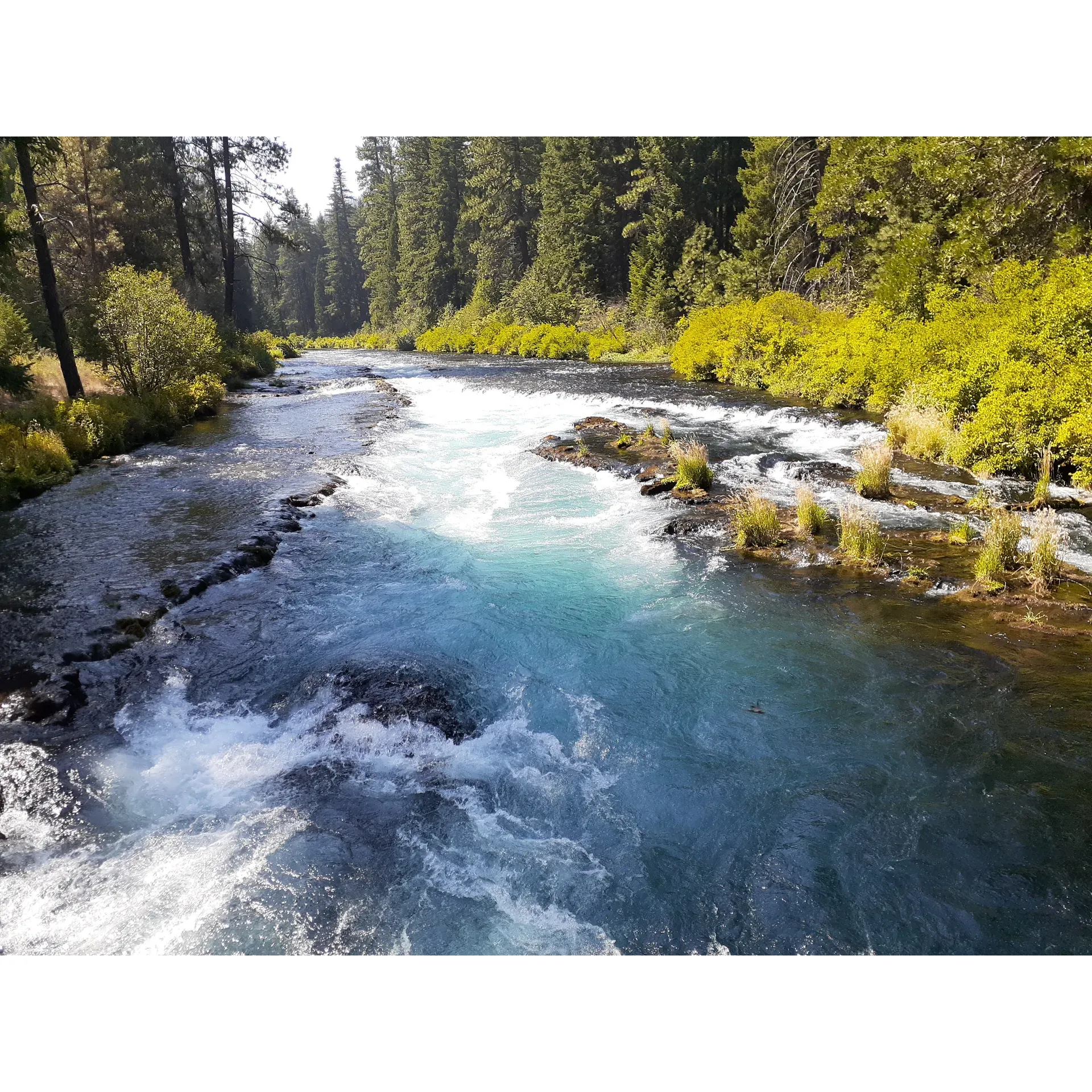 Allen Springs Campground offers a serene and spacious outdoor experience along the banks of the picturesque Metolius River, which originates from the Cascade Mountains. With a selection of 'walk-in' campsites, visitors can savor a brief stroll down well-maintained trails before settling into their secluded spot surrounded by the tranquility of nature.

Campers can enjoy expansive sites with ample room for their tents and RVs, as well as the company of their furry friends who are welcome to frolic along the riverbank. The landscape provides a stunning river view that guests can admire while gathered around a cozy campfire.

Ideal for outdoor enthusiasts, Allen Springs Campground is a haven for kayaking and exclusive fly fishing opportunities, offering visitors a chance to immerse themselves in the local aquatic activities. For those seeking a quiet pilgrimage, the nearby fish hatchery trail offers a peaceful retreat, enhancing the campground's private atmosphere.

A commitment to cleanliness is evident throughout the campground, from the well-maintained vault bathrooms to the overall upkeep of the grounds. The welcoming camp host ensures that every stay is comfortable while maintaining a respectful distance from guests' private space.

For added convenience and a touch of local charm, a quaint country store is situated a short distance up the road, providing visitors with essentials and unique finds.

Campers seeking a disconnect from the digital world will find solace here, as the absence of cell service allows for an uninterrupted escape into nature's embrace.

Allen Springs Campground promises a blissful and memorable outdoor adventure in a setting that evokes the captivating and whimsical beauty of a land untouched by time. It's a destination that guests eagerly return to, keeping it as their own cherished secret. Description by ChatGPT.