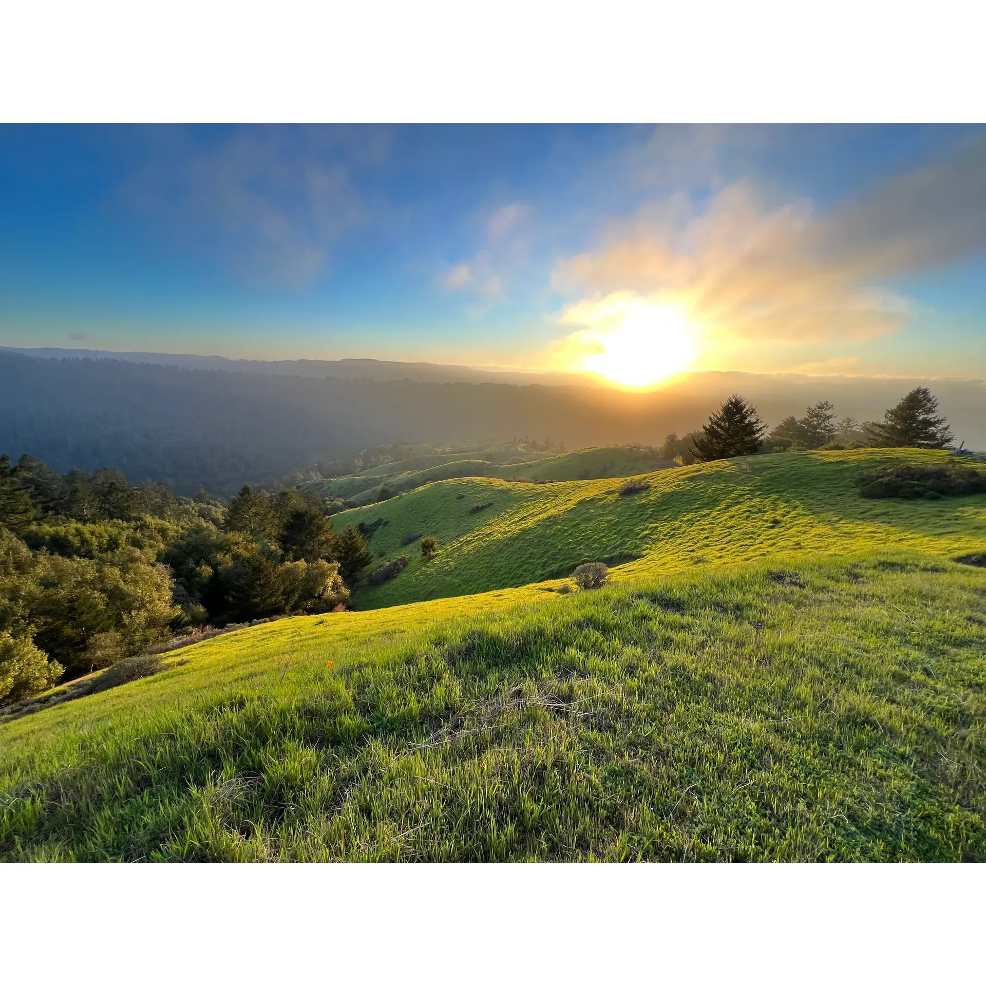 Surrounded by the verdant beauty of Marin County, Samuel P. Taylor State Park offers a serene oasis for nature lovers and outdoor enthusiasts. This tranquil reserve unfolds beneath a majestic canopy of redwoods, serving as an idyllic stage for a variety of outdoor activities such as hiking, and picnicking, all within the embrace of nature's splendor.

With a landscape that is both inviting and rejuvenating, the park features an array of tranquil trails that range from effortless nature walks to moderate hikes. The Old Mill Trail offers not only a gentle stroll through lush surroundings but also educates visitors on the park's history through informative signage placed along the path. As you wander the trails, a sense of peace settles in, heightened by the occasional sighting of local wildlife that changes with the seasons, enriching the experience for frequent visitors.

Samuel P. Taylor State Park is exceptionally well-maintained, providing visitors with clean and convenient facilities. The picnic areas boast ample tables and benches, making it perfect for family gatherings, celebratory events, or simply enjoying a quiet meal amid the forest's grandeur. For those looking to extend their stay, comfortable campsites are available, allowing for a night under the stars and a morning wake-up call from the symphony of nature.

For an enchanting experience, the Pioneer Tree Trail is a favorite among park-goers. Starting at the Azalea day-use area, complete with pristine bathrooms, the trail offers a fulfilling two-hour loop. It takes adventurers from the cool forest floor and alongside meandering creeks, up to the sun-dappled clearings dominated by oak groves. The gentle sound of flowing water and the soft rustling of leaves provide a natural soundtrack to a hike that captures the park's diverse ecosystem.

Visitors who journey to the park from the bustling Bay Area find Samuel P. Taylor State Park remarkably accessible and worth the early morning departure. The park stands as a testament to Northern California's untouched beauty, with refreshing creek waters to dip into during the warm summer days and trails that seem to come to life during misty rainfall—a sight that becomes even more enchanting if you're prepared with suitable rain gear.

A cherished site for generations, this park continues to create memories for families as children breathe in their first taste of fresh forest air, strengthening the bond between nature and the young explorers. Deeply loved by locals and those fortunate enough to stumble upon it, Samuel P. Taylor State Park is a beautiful, lush sanctuary where the air is filled with the earth's natural fragrance and the spirit is uplifted by the simple joy of being surrounded by the living tapestry of the great outdoors. Description by ChatGPT.