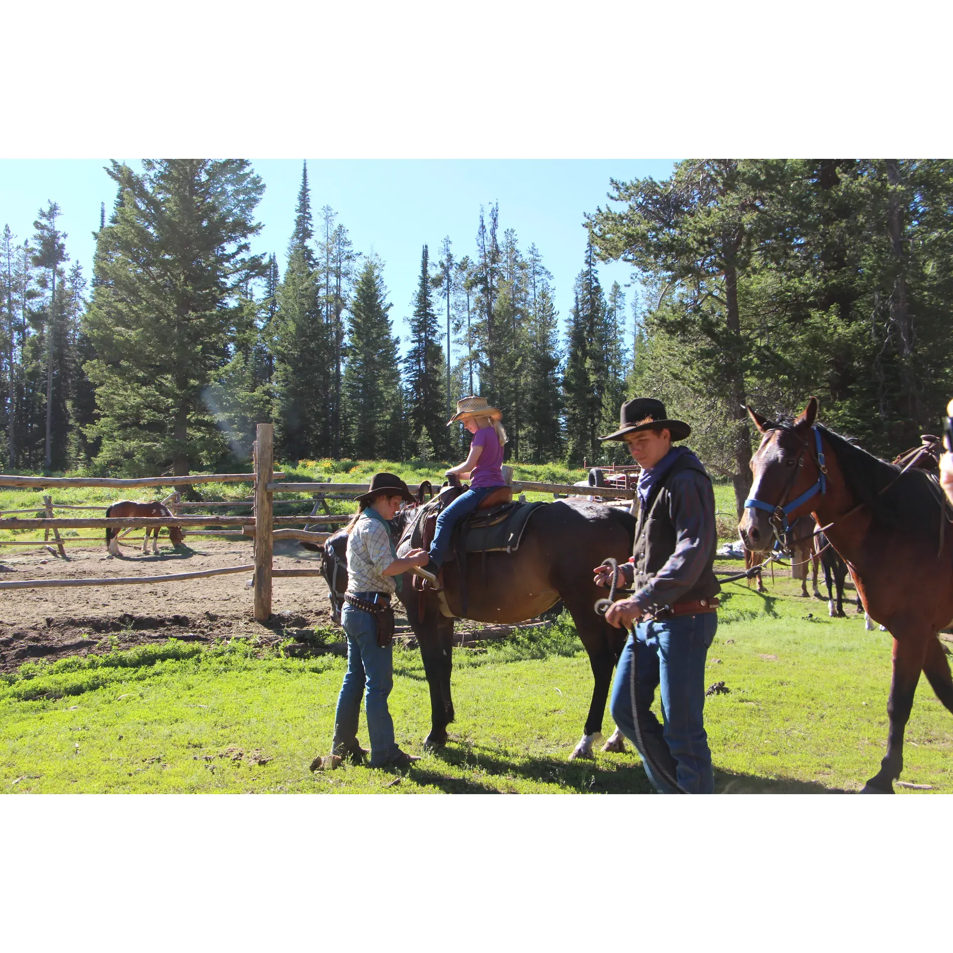 Embark on a remarkable journey into the great outdoors with Teton Wagon Train & Horse Adventure at the Calf Creek Campground, the epitome of Western hospitality and unbridled adventure in the breathtaking Jackson Hole area. Immerse yourself in an authentic outdoor experience that invites you to reconnect with nature's wonders. Spend your days riding on horseback across scenic landscapes, suitable for all skill levels, from the thrill-seeking equestrian to the first-time rider.

Every evening, be enveloped by warmth and camaraderie as the experienced and congenial staff make you feel like an extension of their family. Delve into a bygone era as you cook over a crackling open fire, and let the beauty of the majestic mountain views and the purity of the fresh air recharge your spirit. As the stars pepper the night sky, gather around the campfire for an unforgettable symphony of stories shared between new friends and old.

Visitors of all ages, including those with a lifetime of experiences, find unparalleled delight in this immersive week-long escapade. With glowing endorsements highlighting it as a top-tier choice for horse enthusiasts, families, and outdoor lovers alike, you're assured a vacation etched with joyous memories. Whether you're seeking a serene retreat or an intrepid exploration, the Teton Wagon Train & Horse Adventure promises a uniquely compelling outdoor escapade that beckons you back, year after year. Join Jeff and his crew for what many have proclaimed to be the best camping vacation ever, and discover the unbridled joy of the old West. Description by ChatGPT.