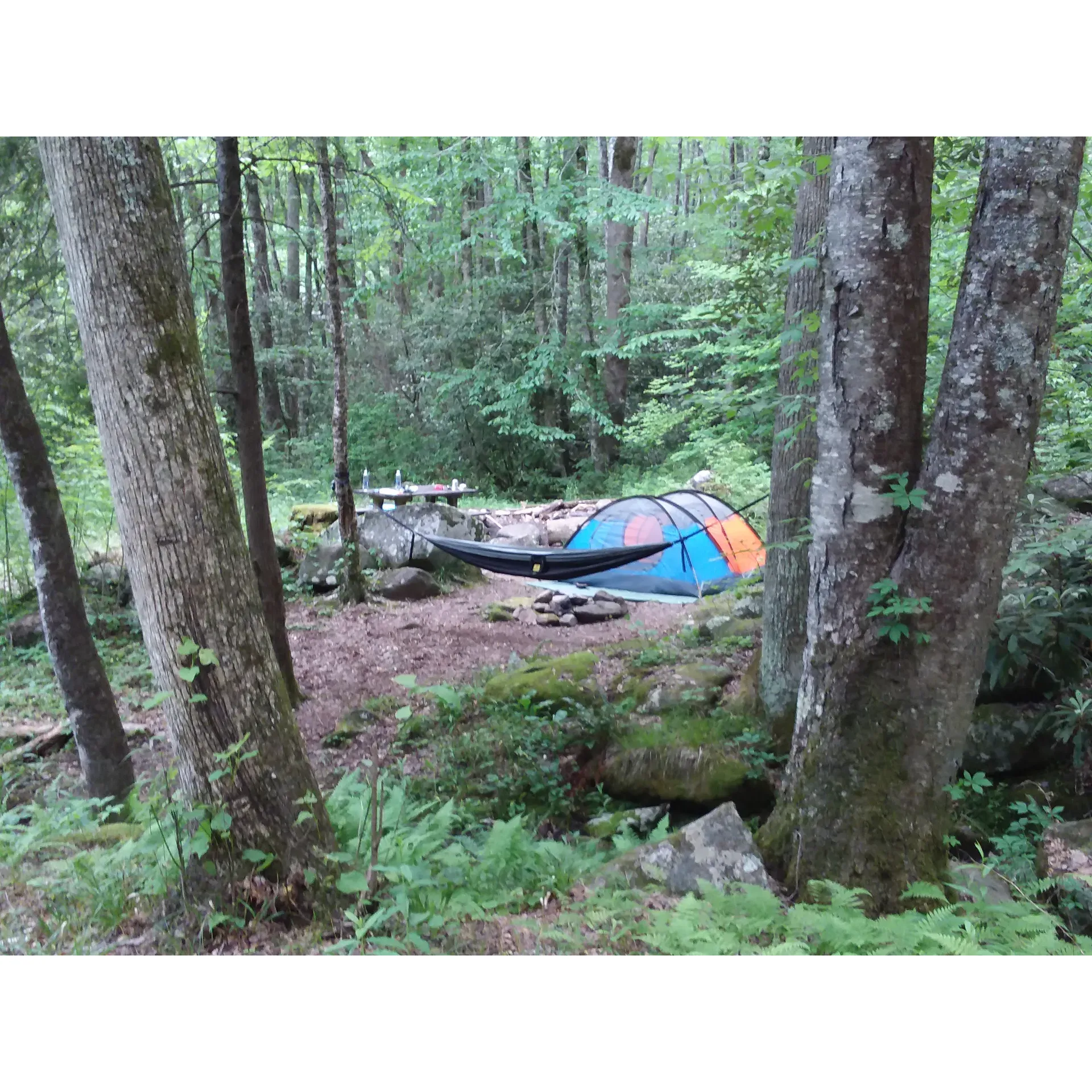 Backcountry Camp 64 emerges as a premier destination for outdoors enthusiasts seeking an immersive experience in the splendor of the Smokies. Guests frequently commend the campsite for its exceptional location adjacent to a picturesque creek, complemented by an inviting bridge that adds to the site's charm. With an abundance of food hoists and ample space for camping, the site caters to both practical needs and the desire for a serene getaway.

Outdoor lovers are delighted by the variety of camp spots available, from creekside havens to gently elevated areas just a stone's throw from the babbling water. The surrounding forest offers an array of sturdy trees perfectly spaced for hammock enthusiasts to relax and soak in the natural ambiance.

Accessibility is another highlight, with campers praising the 5-mile approach as one of the most leisurely treks in the area. Commencing on a broad gravel road, the gentle journey presents modest inclines and rewards hikers with views and an inviting sense of arrival.

For those embarking from Bryson City, North Carolina, the Noland Creek trail unfurls a scenic 4-mile hike from Lakeview Drive's parking lot, leading to the secluded escape of Backcountry Camp 64. This blend of approachability and seclusion makes it a highly recommended spot. As the seasons change, the camp continues to attract guests, with many already planning return trips to this beautiful spot in the heart of nature. Description by ChatGPT.