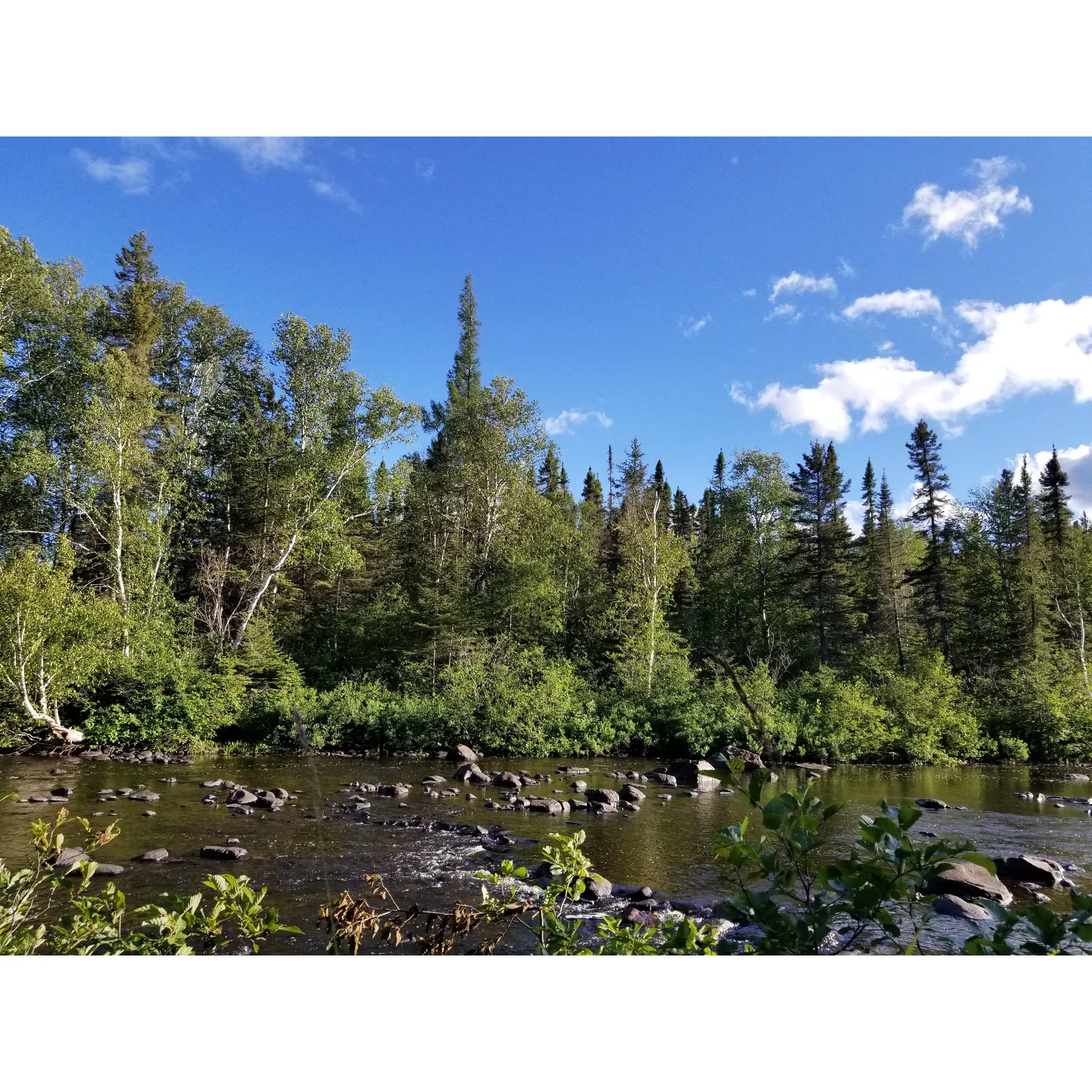 Temperance River Campground offers an intimate and serene outdoor experience for campers looking to immerse themselves in the tranquility of nature. With its modest number of 8 to 9 sites, this campground provides a cozy and somewhat private atmosphere where the beauty of simplicity shines through. Each site is well-spaced to afford visitors their area, yet close enough to occasionally hear the joyful sounds of neighboring campers.

A major highlight of the campground is its prime location close to the melodious Temperance River, which ensures that campers can relax to the soothing sound of flowing water as they drift to sleep. The campground's proximity to an array of trails invites adventure-seekers to explore the enchanting wilderness that surrounds the area.

For a mere $18 a night, guests have access to clean and well-maintained facilities including an outhouse and a fresh water spigot, ensuring that basic comforts are met while embracing the rustic charm of outdoor living. Wildlife enthusiasts will be delighted by the presence of local fauna such as the adorable chipmunks that make friendly appearances throughout the day.

Safety is a priority, and campers are provided with helpful guidelines to secure food and avoid bear encounters, ensuring a peaceful coexistence with nature. Moreover, during wintertime, the campground offers an unexpected delight with accessible plowed roads and a usable vault toilet, making it an excellent choice for winter camping enthusiasts.

The setting of Temperance River Campground allows for a memorable camping experience that brings visitors closer to the peaceful rhythms of the wild while staying conveniently situated near maintained roads that lead up to the retreat. It's a splendid base for those desiring to explore the Temperance River area and Tofte region, offering an authentic encounter with Minnesota's enchanting wilderness. Whether you come with pets, family, or as a solitary explorer, Temperance River Campground stands out as a delightful destination for those seeking a rustic and engaging outdoor getaway. Description by ChatGPT.