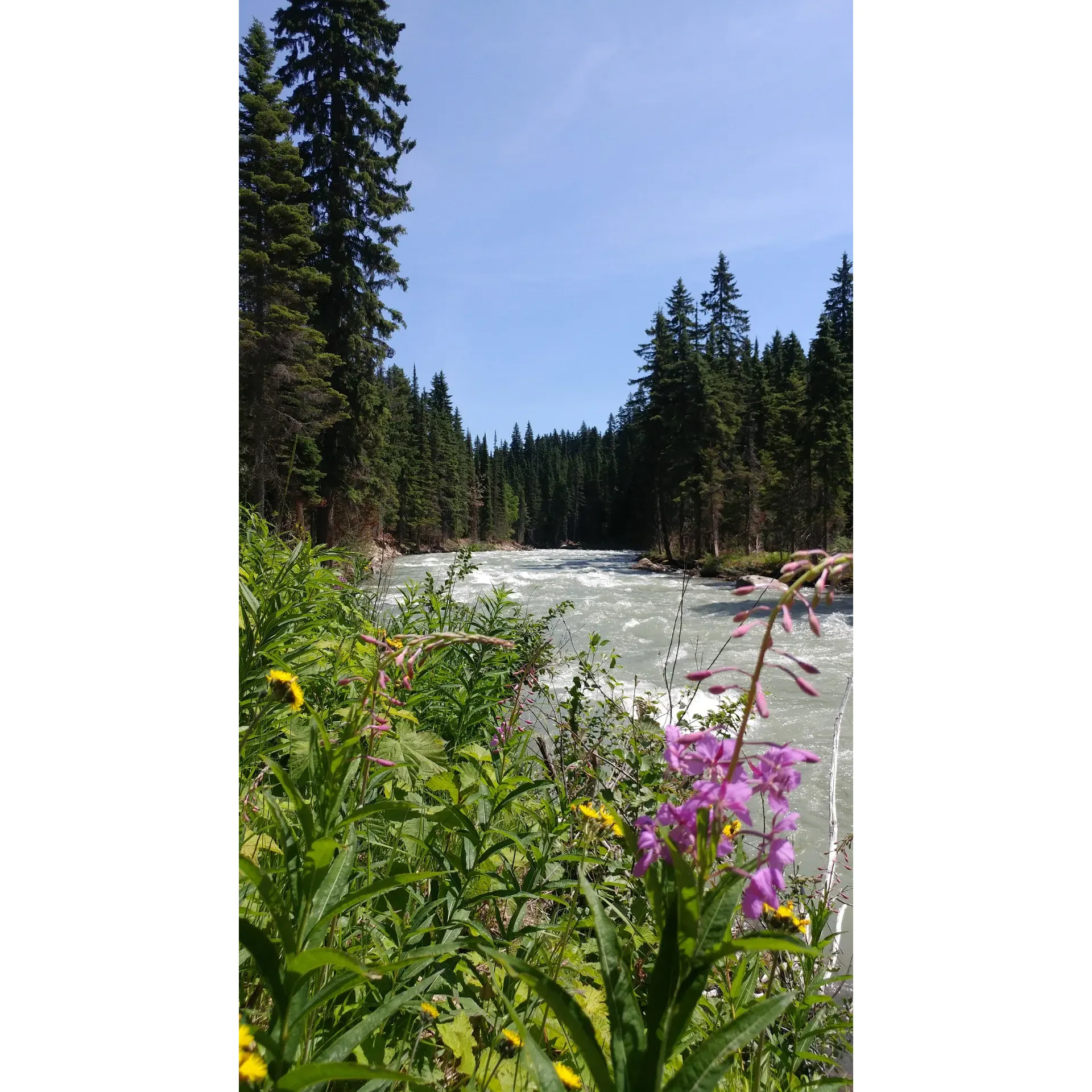 Upper Canoe Recreation Site is a popular outdoor destination located in Fraser-Fort George H, British Columbia. Situated at an elevation of 980 meters, the site offers stunning views of the surrounding mountains and forests. Visitors can enjoy a variety of recreational activities such as hiking, camping, picnicking, and fishing in the scenic Upper Canoe River.

The recreation site features well-maintained campsites with fire pits and picnic tables, as well as pit toilets for convenience. There are also several hiking trails in the area that range in difficulty, providing options for all skill levels. Whether you're looking for a peaceful retreat in nature or a basecamp for exploring the surrounding wilderness, Upper Canoe Recreation Site is an ideal destination for outdoor enthusiasts.

Access to Upper Canoe Recreation Site is via Highway 16, with the turnoff located approximately 90 kilometers east of Prince George. The site is open year-round, but amenities may be limited during the off-season. Visitors are encouraged to practice Leave No Trace principles and respect the natural environment while enjoying all that Upper Canoe Recreation Site has to offer. Description by ChatGPT.