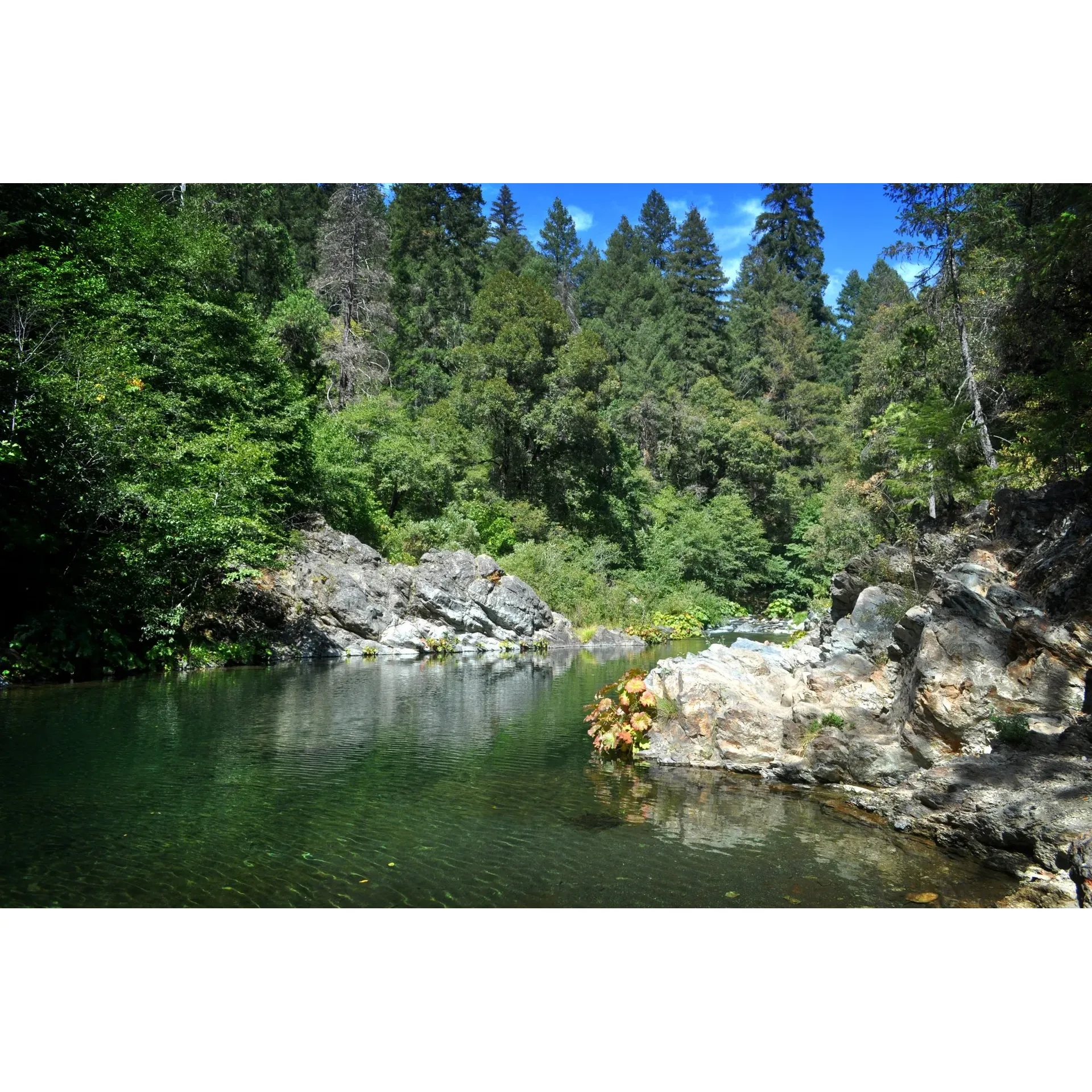 Forks Of Butte Campground offers a serene escape where the simplicity of nature provides a picturesque backdrop for outdoor enthusiasts. Set along the water's edge, this idyllic campground is a haven for those seeking tranquility and natural beauty. Visitors often express their delight at the well-maintained surroundings, noting the cleanliness and peaceful atmosphere that enhances their outdoor experience.

Whether you're there to hike through the surrounding trails, immerse yourself in a session of riverside gold panning, or to simply enjoy a retreat away from the clamor of daily life, Forks Of Butte Camporary has something to offer. Memories are abundantly created in this sweet spot, as it invites relaxation and adventure in equal measure.

A testament to its charm, the campground has a history of fostering unforgettable experiences, echoes of which linger with longtime visitors. While the pathway to this hidden gem might require an adventurous spirit, the reward upon arrival is a stretch of pretty scenery, where the whispers of flowing water complement your search for gold or a quiet moment under the stars.

Forks Of Butte is a special destination for those looking to reconnect with nature and indulge in some peaceful, quality time in the great outdoors. The natural allure of this campground makes it a cherished spot for many. While facilities are minimal, reinforcing the rustic experience, it remains a delightful location ripe for exploration, relaxation, and a touch of adventure. Description by ChatGPT.