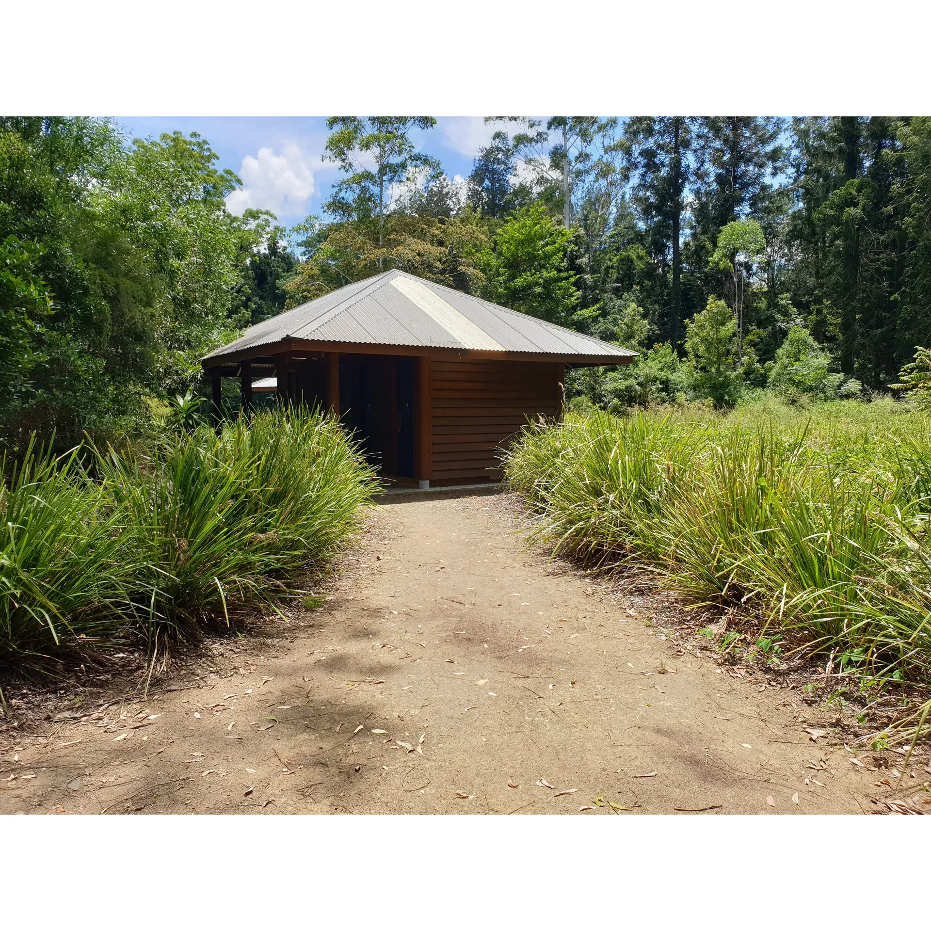 Cedar Grove Camping Area offers a serene and picturesque getaway for families and nature enthusiasts alike. The campsite prides itself on its impeccable cleanliness and tidy surroundings, providing an inviting setting for a day of relaxation or an extended outdoor adventure. Visitors can bask in the tranquility of a fresh water hole bordered by the verdant embrace of a natural forest, perfect for kayaking and floating on air mattresses.

The camping spot is equipped with robust fire pits, promising memorable evenings under the stars. Practical amenities include well-maintained flushing toilets, ensuring a comfortable stay. The camp's layout affords ample space between sites for privacy and a sense of seclusion. Guests are treated to the unique experience of observing local wildlife, such as roaming goannas and bush turkeys—though it is wise to secure food items to avoid attracting these curious creatures.

Cedar Grove offers not just a place to pitch a tent, but a holistic nature retreat with access to swimming spots and bushwalking trails. The close proximity to the towns of Amamoor and Kadanga means that provisions are never too far away for those needing to top up on supplies. For the convenience of campers, it is urged to come prepared with plenty of water to maximally enjoy the outdoor experience.

This family-friendly campground serves as a delightful base to explore the great outdoors, where the blend of comfort and wilderness creates a truly memorable escape. Description by ChatGPT.