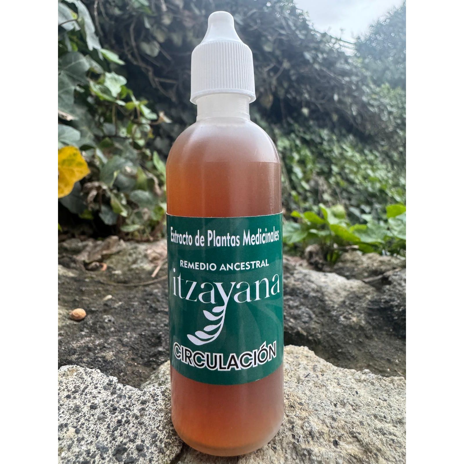 Discover ITZAYANA-Tincture for Circulation, a unique formula that combines the richness of Mexican herbalism with carefully selected ingredients to support vascular health and promote holistic wellness. Our tincture is made with natural extracts that have been valued for their beneficial properties over generations.