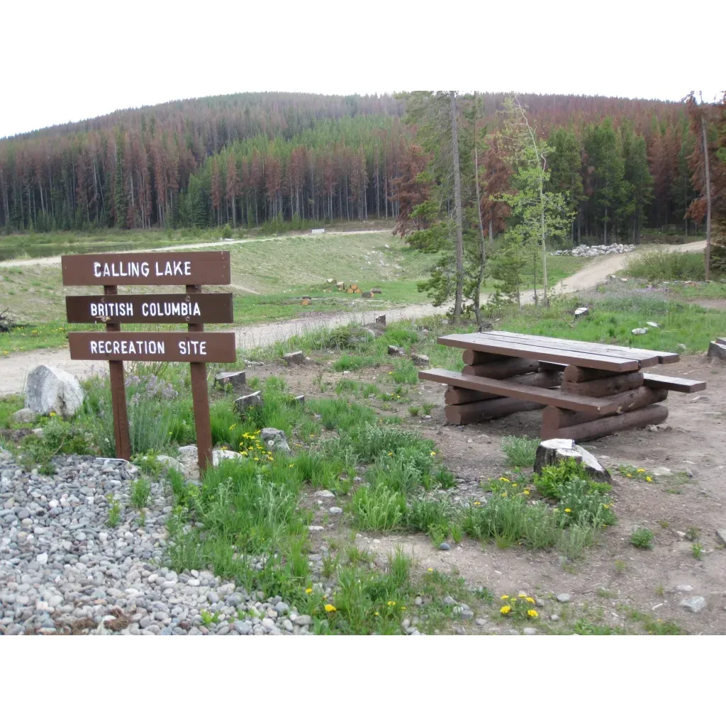 Calling Lake Recreation Site is a popular outdoor destination located in Logan Lake, British Columbia. The site offers a range of recreational activities for visitors to enjoy, including fishing, boating, hiking, and camping. The lake itself is stocked with rainbow trout, making it a great spot for anglers looking to relax and cast a line.

The campground at Calling Lake Recreation Site provides facilities such as picnic tables, fire pits, and pit toilets for visitors to use during their stay. There are also a number of hiking trails in the area, allowing guests to explore the natural beauty of the surrounding landscape. Whether you're looking to relax by the water, get active with some outdoor activities, or simply take in the serene surroundings, Calling Lake Recreation Site has something for everyone to enjoy.

Located at Logan Lake, BC V0K 2L0, Canada, Calling Lake Recreation Site is easily accessible by car and offers a peaceful escape from the hustle and bustle of city life. The site is a popular destination for families, groups, and solo travelers looking to immerse themselves in the great outdoors and experience the beauty of British Columbia's wilderness. Whether you're planning a weekend getaway or a longer stay, Calling Lake Recreation Site is a fantastic choice for nature lovers of all ages. Description by ChatGPT.