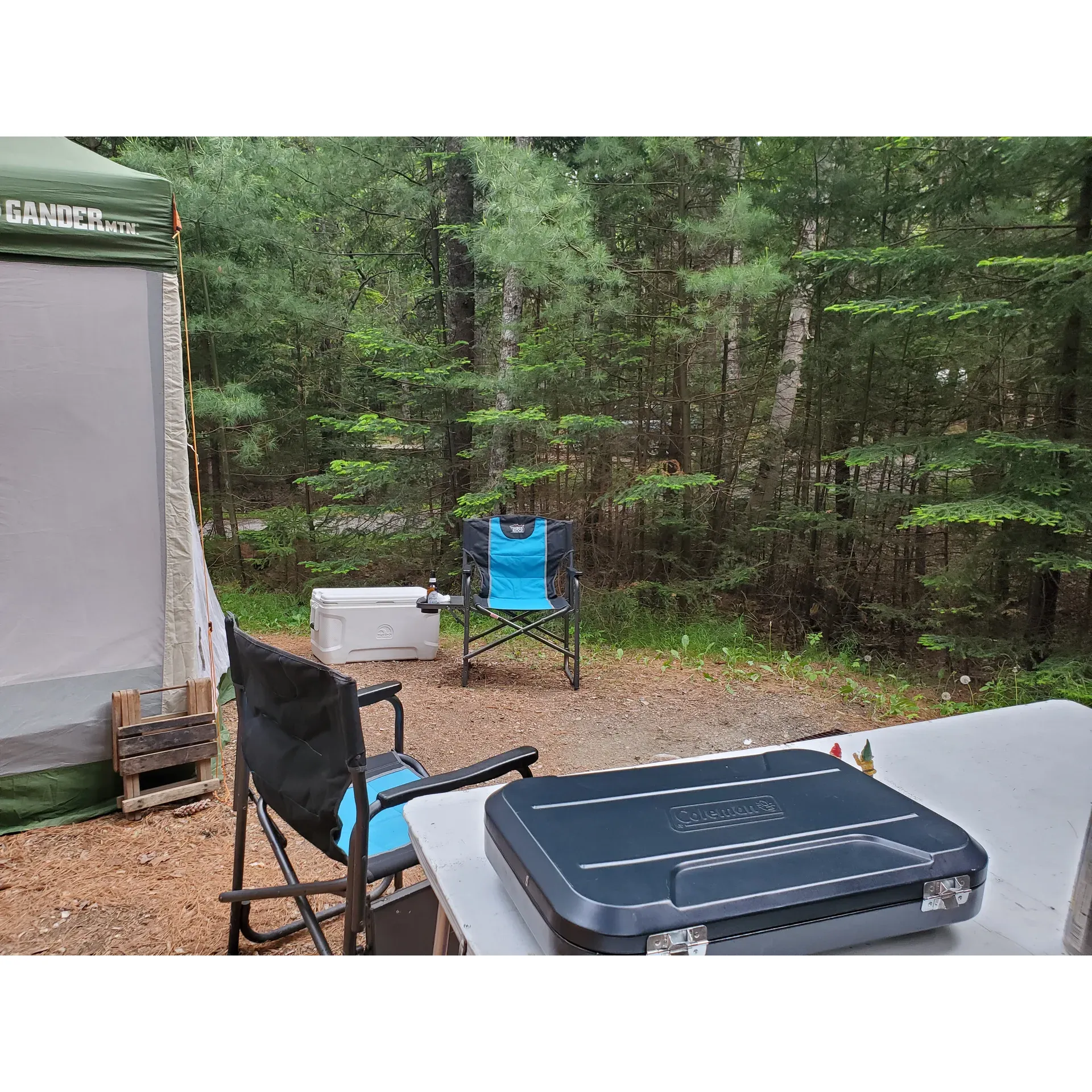 Mount Desert Campground offers an enchanting outdoor experience with spacious and meticulously maintained campsites that cater to both tent campers and smaller RVs. Visitors frequently express their adoration for this charming retreat, a testament to the years of return visits by loyal guests. The amiable and attentive staff is a highlight among guests, going out of their way to ensure a personable and valued stay.

Well-equipped with modern amenities such as clean bathhouses thoughtfully spread across the property, the campground prioritizes comfort and convenience. The joy of outdoor recreation is embraced with opportunities to explore the serene waters with available paddle board and kayak rentals. A welcoming dock and a spacious boat launch area enhance the maritime experience, accommodating guests' vessels and encouraging aquatic adventures.

A special feature that adds to the community feel is The Gathering Place, where one can enjoy a morning coffee and freshly baked goods while mingling with fellow campers. The camp's setting frames the perfect immersion into nature, offering a balance of waterfront magnificence and wooded seclusion. Time seems to stand still as visitors unwind by the water or leisurely paddle around in the sound, absorbing the beauty that surrounds them.

Additional amenities, such as an ice cream shop, wood for campfires, and potable water, ensure that the basics are covered so that guests can focus on making memories, whether it's crabbing at the docks or simply lounging in a hammock with the perfect view. Though catering predominantly to traditional camping, the site also provides essential services for those with small trailers, acknowledging the beauty of preserving a natural, tranquil atmosphere.

Mount Desert Campground, cherished for its enduring natural allure and harmonious atmosphere, is a jewel for those seeking to experience the great outdoors in its most welcoming form. With its proximity to Acadia National Park and the storied homelands of the Wabanaki Nation, this idyllic destination is a sanctuary that beckons nature lovers year after year. Description by ChatGPT.