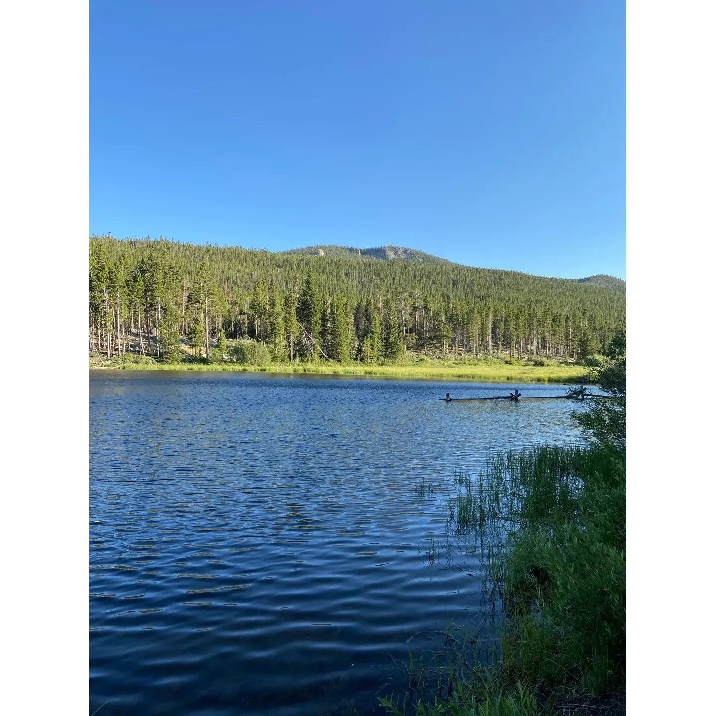 Worthen Meadow Reservoir Campground offers a serene and beautiful outdoor experience for campers looking for a tranquil getaway. Perfect for weekday escapes to ensure a more secluded atmosphere, the campground is divided into two loops, providing options for different preferences. With 21 sites in the first loop and an additional 8 sites in the more elevated second loop, guests are afforded the opportunity to find their ideal campsite, complete with picturesque views and a peaceful environment.

The surroundings are absolutely stunning, with the campsites meticulously maintained and equipped with necessary amenities. Campers have access to at least three water pumps distributed across the campground, ensuring a reliable supply of potable water. The vault toilets are noted for their cleanliness, providing a level of comfort in the great outdoors.

An interesting and practical addition to the campsites is the bear box, which not only serves its primary purpose of safe food storage but also doubles as a handy countertop for preparing meals. The campground is welcoming to both RV enthusiasts and tent campers alike, though the latter can enjoy the comfort of well-established tent sites.

Fishing enthusiasts will find the location delightful, with the east end by the dam offering more promising bites. Even without traditional RV hookups, the campground is well-loved by all who visit, with a helpful camp host ready to assist and enhance the camping experience.

Visitors report a good time engaging in outdoor activities, relaxing by the magnificent Worthen Meadow Reservoir, and taking in the stunning vistas. The accessibility of the campground, even for two-wheel drive trucks, is impressive and leads to a view that is worth the drive.

Above all, the atmosphere at Worthen Meadow Reservoir Campground is one of tranquility and respect for nature. Guests are mindful of quiet hours, contributing to the serene ambiance that defines the camping experience here. With inviting sites, great amenities, and exceptional hosts that lead to guests readily expressing their desire to return, this campground is truly a cherished destination for those seeking a peaceful retreat by the lake. Description by ChatGPT.