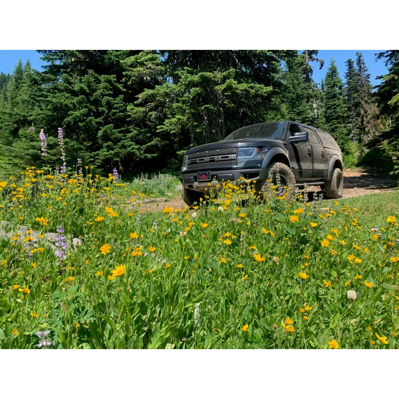 Camp Windy Campground offers a pristine, off-the-beaten-track camping experience for outdoor enthusiasts seeking an intimate connection with nature. Catering specifically to those equipped with tents, car-top tents, and high-clearance, compact overland trailers, this rugged locale is perfect for adventurers wanting to disconnect from the daily grind and immerse themselves in the wilderness. With limited availability ensuring a serene environment, campers find solace in the fact that the chances of encountering another soul are slim, promising an undisturbed stay under the stars.

Set against the backdrop of beautiful vistas and a quaint nearby meadow, each designated campsite comes with its own fire pit, allowing for cozy evenings and the timeless tradition of fireside storytelling. Accessibility is designed for visitors with true 4-wheel drive vehicles, which can maneuver along the challenging and rocky approach to find solace in this secluded haven.

At Camp Windy Campground, simplicity reigns supreme, offering a pure, unadulterated outdoor experience. Embrace the opportunity for adventure and tranquility, where the only distractions are the sights and sounds of the untouched natural surroundings. This is truly a unique destination for those wanting to test their off-road mettle and enjoy nature's offerings far from the bustling crowds and city lights. Description by ChatGPT.