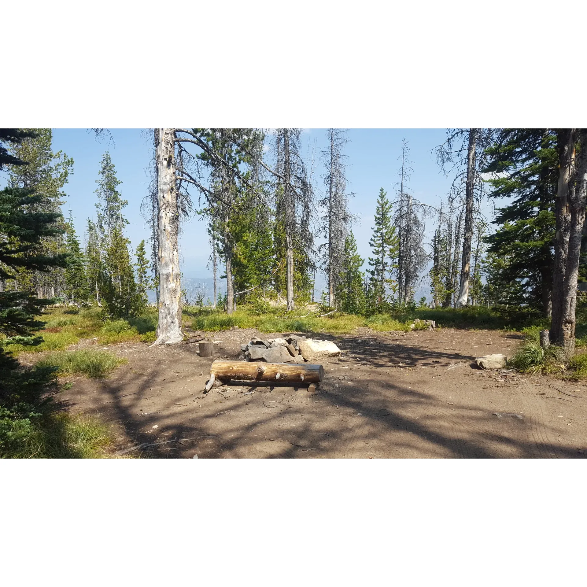 Situated in the heart of the wilderness, Observation Point Campground offers visitors an idyllic outdoor experience with its spectacular scenic vistas and serene natural surroundings. The campground is lauded for its beautifully maintained sites that are set along a babbling creek, providing a tranquil soundtrack to an outdoor adventure. Guests are often captivated by the panoramic landscapes, which are especially breathtaking during sunset, creating a memorable backdrop for nature enthusiasts and photographers alike. 

With lush green meadows and strands of trees surrounding the area, the campground offers a delightful blend of shade and open spaces. The presence of running surface water even in the typically dry late August period is a notably convenient feature. Campers can also appreciate the practical addition of a designated bear hang, ensuring safe food storage and added peace of mind while embracing the wilderness.

Observation Point Campground is an unspoiled gem that invites a connection with nature, offering simplicity and an escape from the hustle and bustle of daily life. It is an excellent choice for those seeking an authentic camping experience with the essentials taken care of, wrapped up in the majesty of the great outdoors. Description by ChatGPT.