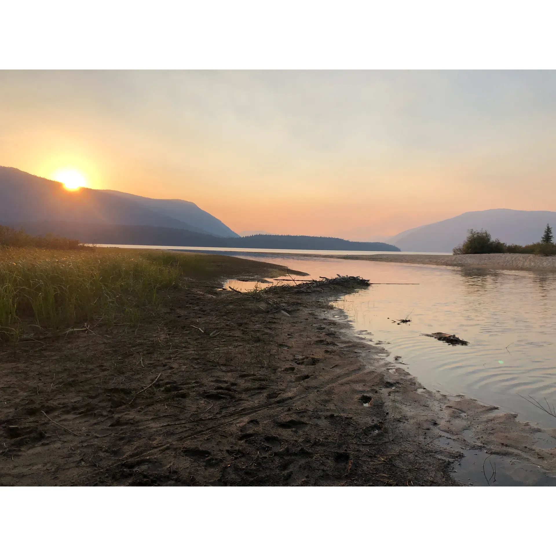 Murtle Lagoon South Group Site is a camping area located in Wells Gray Country, British Columbia, Canada. It is situated near the stunning Murtle Lake, which is the largest known canoe-only lake in North America. The site offers a peaceful and secluded camping experience surrounded by lush forests and beautiful scenery.

The group site can accommodate up to 60 people and is ideal for gatherings such as family reunions, group camping trips, or outdoor retreats. Amenities at Murtle Lagoon South Group Site include picnic tables, pit toilets, and fire pits for cooking and campfires. Visitors can enjoy activities such as hiking, fishing, canoeing, and wildlife viewing in the surrounding area.

It is important to note that Murtle Lagoon South Group Site is a remote camping area, accessible only by boat or by hiking in from Murtle Lake. Visitors should be prepared with all necessary supplies, including food, water, and camping gear, as there are no stores or services nearby. Reservations are required in advance to secure a spot at this popular camping destination in the beautiful wilderness of British Columbia. Description by ChatGPT.