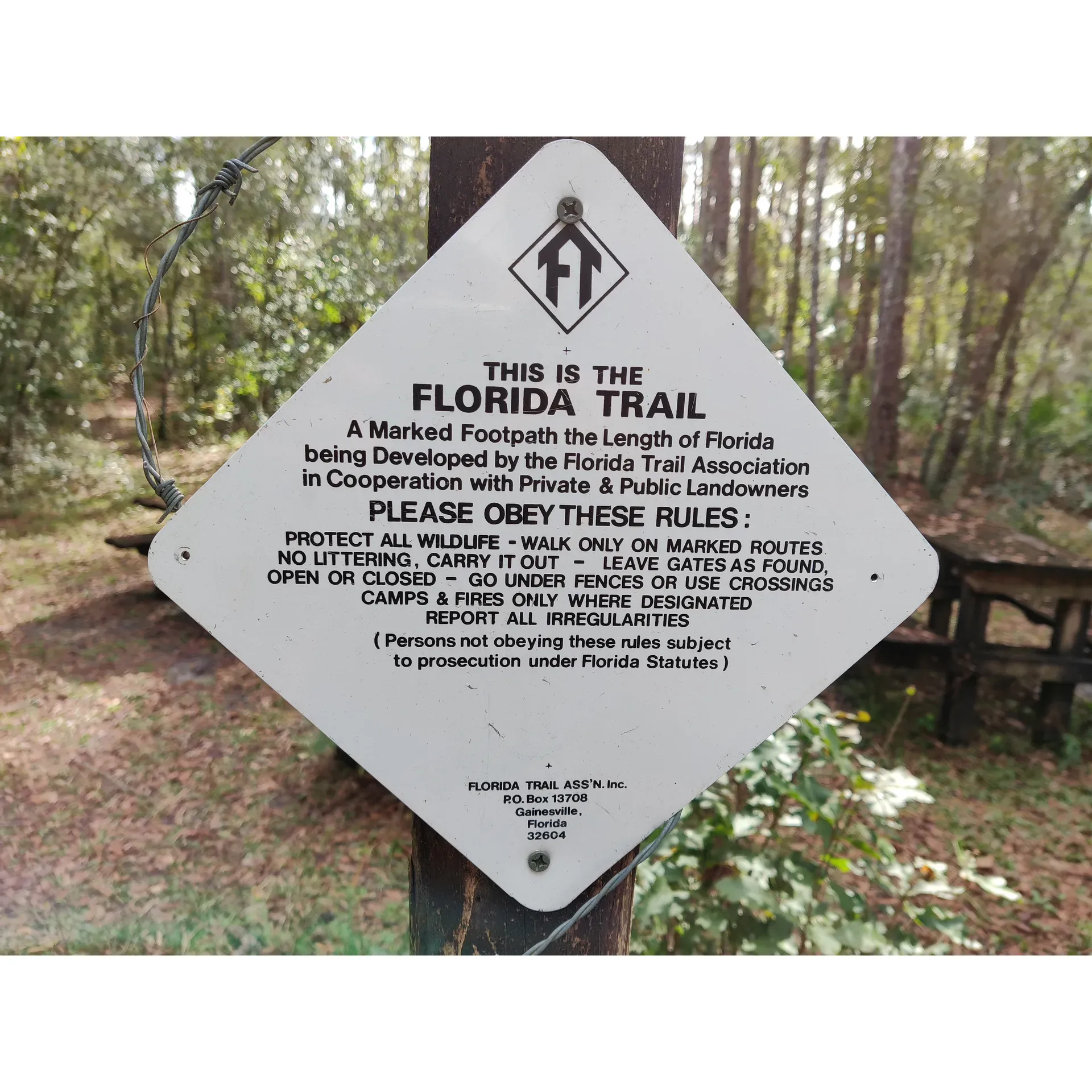 Situated deep in the scenic embrace of Florida's natural landscape, the SWFWMD Trial Ford Camp offers a serene getaway for outdoor enthusiasts and adventure seekers. This hidden gem, accessible via the Florida Trail, provides an undisturbed retreat for campers looking for an immersive experience in the wild. 

The tranquility of the campsite is one of its most cherished features, where visitors can revel in the stillness of their surroundings, undisturbed by the hustle and bustle of city life. The simple, rustic charm of the camping experience is enhanced by the surrounding wilderness, home to an abundance of wildlife. This presents an outstanding opportunity for nature-watchers to observe local flora and fauna in their natural habitat.

As an invitation to self-sufficiency and traditional camping practices, the camp grounds encourage visitors to connect with nature through activities such as hiking, wildlife photography, and star-gazing under the clear night skies. A true outdoorsy haven, the free-to-use camping area does require a reservation via the SWFWMD website, ensuring that each visit is as exclusive as it is memorable.

Perfect for seasoned campaigners and nature lovers, the Trial Ford Camp offers an escape to the heart of Florida’s pristine environment, providing an authentically rugged outdoor adventure that promises to refresh and invigorate the soul. Description by ChatGPT.