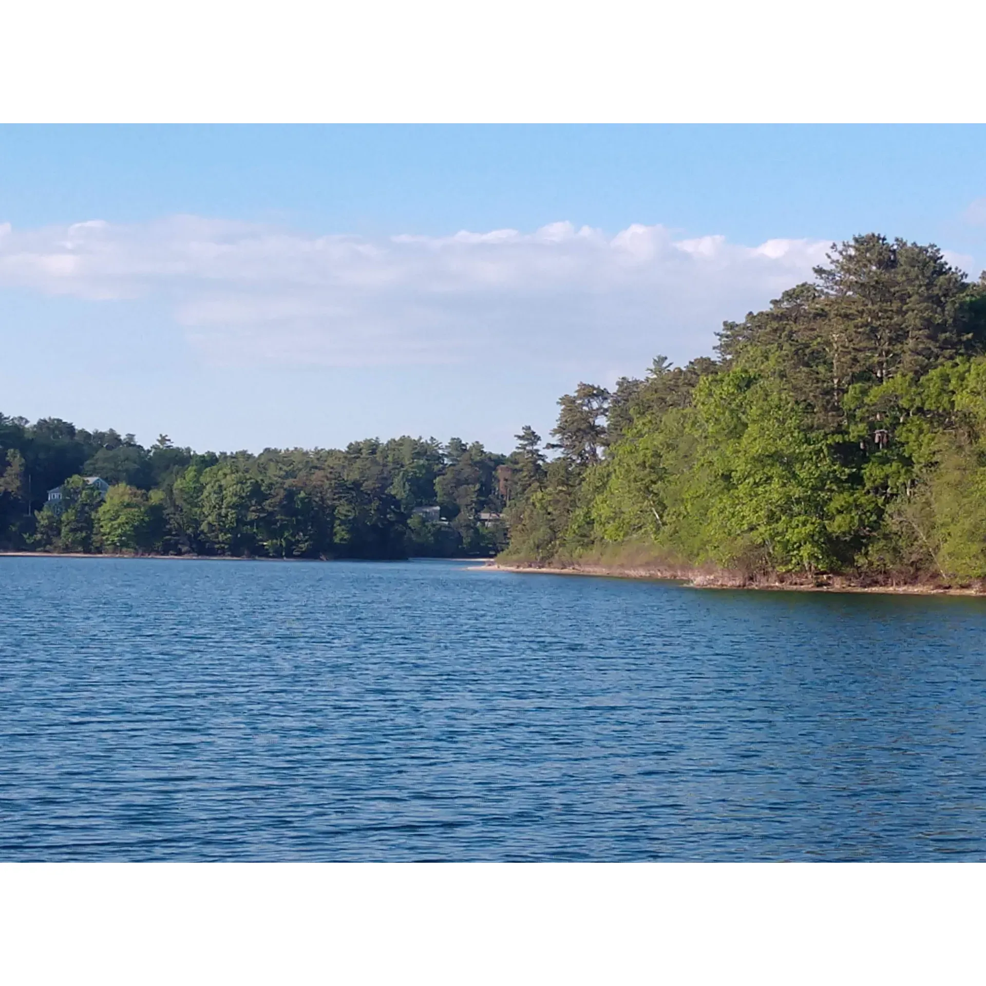 Triangle Pond, a charming and picturesque body of water, occupies a treasured spot in the hearts of many who have been captivated by its beauty and tranquility. Despite its name, the pond's unique shape only adds to the charisma and appeal it holds, creating a delightful sense of surprise for first-time visitors and a lasting memory for those familiar with its allure.

As a central point of convergence for the community, this magnificent pond transcends mere aesthetics, fostering an array and depth of personal experiences that resonate with visitors. It's a place where the simple pleasures of life can be appreciated, from skimming stones to observing the playful metamorphosis of aquatic wildlife. For many, it has been the starting point of a lifelong relationship with nature, instilling a profound appreciation for the outdoors.

A touchstone for reflection and personal insight, the calm and soothing presence of the pond offers a peaceful escape from the demands of everyday life. It is a place where thoughts can flow freely amid the gentle sounds of water and rustling leaves, providing solace and a sense of inner peace to those seeking a moment of solitude or a pause for contemplation.

Not just a solitary retreat, Triangle Pond is equally celebrated as a destination for communal gatherings. It has seen the blossoming of deep connections among friends, the sharing of laughter, and the creation of memories that bind people together. The warm and inviting setting of the pond is perfect for picnics, casual strolls, and those invigorating dips that brave souls take, each moment adding another layer to the rich tapestry of shared experiences.

With the changing seasons, the pond offers a visual spectacle and a living example of the natural cycle, imparting wisdom about continuity, change, and the preciousness of the present moment. Observers can witness the transformation of the landscape, revealing the inherent beauty and lessons found within the rhythms of nature.

Triangle Pond represents a blend of natural splendor, life lessons, and community spirit. Its existence is a testament to the power of unexpected treasures in our midst. The way it touches lives, inspires hearts, and brings people together truly earns it a five-star admiration and a special place beyond its physical presence. Description by ChatGPT.