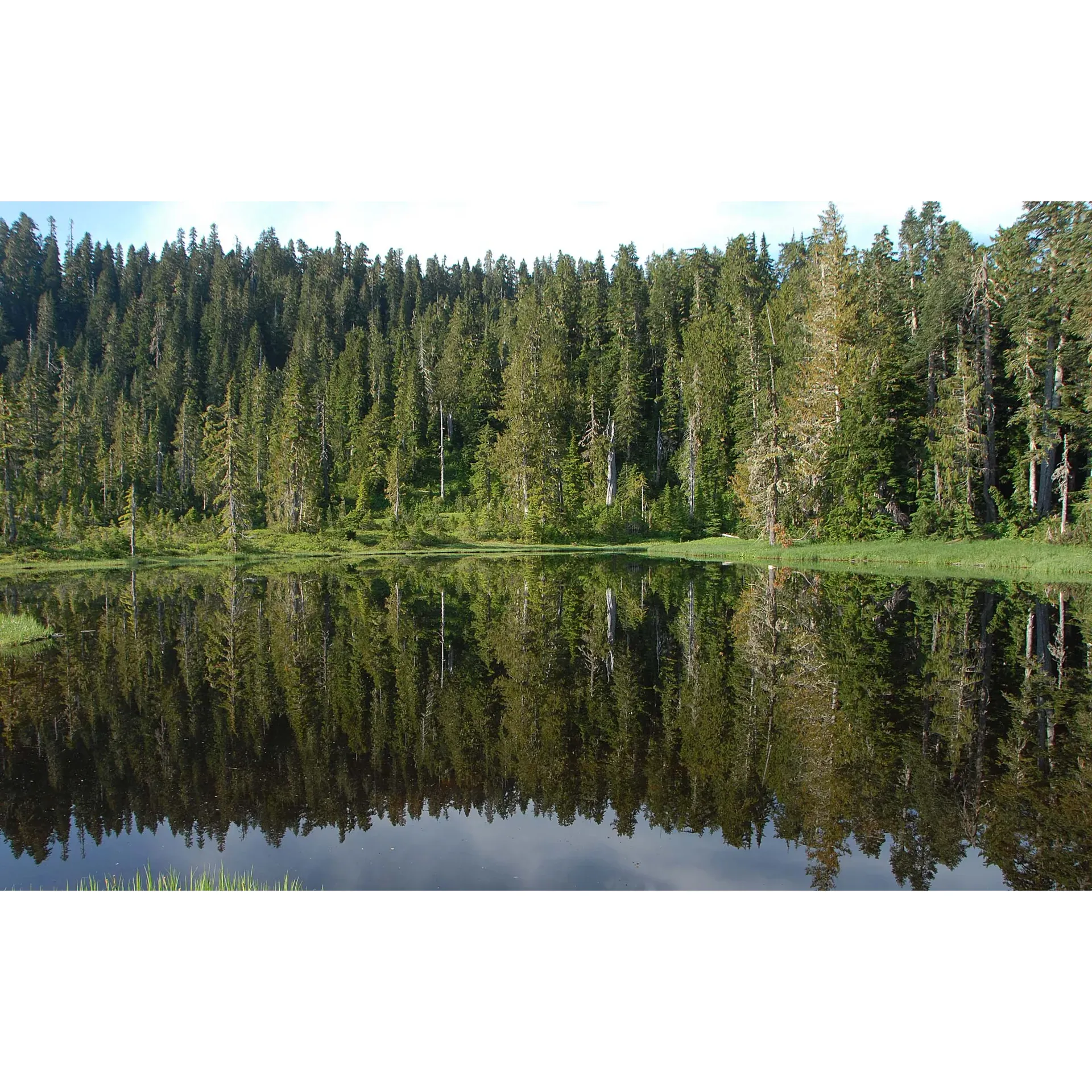 Three Lakes Campground is a picturesque outdoor escape situated in the majestic Olympic National Park. Perched at an elevation of 2,600 feet, it offers breathtaking views and a tranquil atmosphere for camping enthusiasts. The campground provides several spacious sites, each capable of accommodating a pair of 2-person tents, making it the perfect destination for couples or small groups seeking an intimate connection with nature.

The serene environment of Three Lakes Campground is an ideal basecamp for adventurers looking to tackle the trails of Tshletshy Ridge or ascend to the vistas of Finley Peak. The sites are thoughtfully placed to ensure privacy, allowing campers to relish in the peaceful surroundings and the beauty of the park without disturbance.

For those who have an appreciation for sustainability and respecting the delicate high-altitude ecosystem, the campfire restrictions promote a leave-no-trace ethic, ensuring the natural beauty is preserved for future visitors. While hammock enthusiasts may find options limited, the campground compensates with sturdy ground for traditional tent camping.

Three Lakes itself serves as a natural, pristine water source for campers, complemented by nearby streams that provide a convenient and refreshing water supply with minimal effort. Campers can enjoy the simplicity of gathering water while taking in the tranquil sights and sounds of the surrounding wilderness.

Whether trekking through the verdant forests or simply enjoying the stillness of the alpine environment, Three Lakes Campground offers a unique outdoor experience where nature's splendor can be enjoyed in its purest form. This gem of Olympic National Park is perfect for visitors seeking a scenic retreat from the bustling world. Description by ChatGPT.