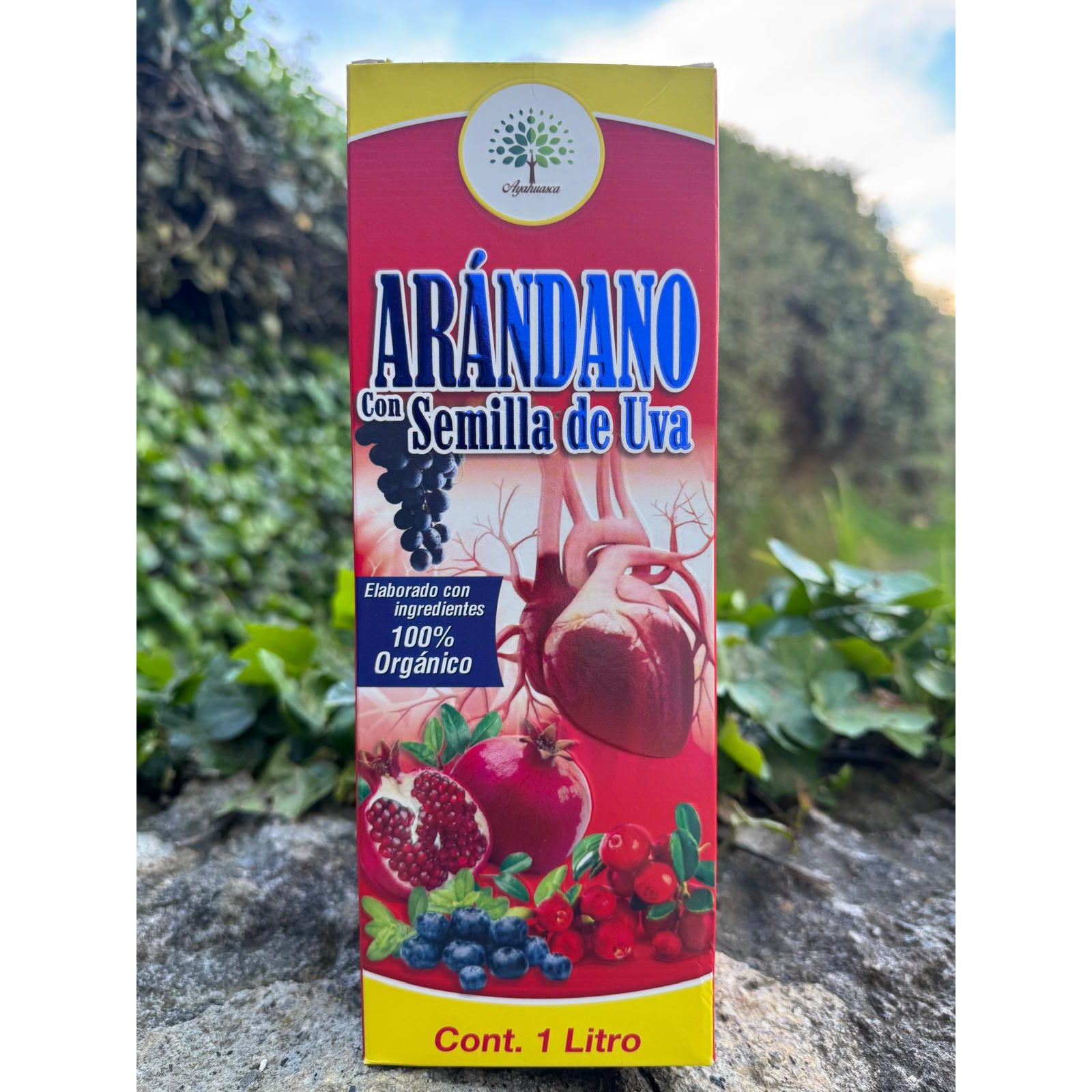 Discover the 100% organic grapeseed tonic, a powerful blend of cranberries and blueberries, pomegranate, noni, goji, mangosteen and aloe. This tonic improves neural connections and cell communication, protects blood vessels, prevents retinal degeneration, and strengthens the natural collagen of ligaments and cartilage.