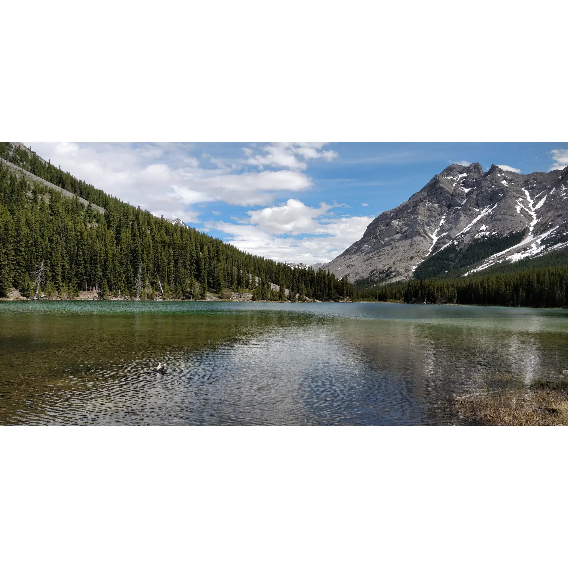 Elbow Lake offers an incredible escape into the serenity of nature with the bonus of stunning mountain views framing the landscape. Just a 90-minute drive can transport visitors from the hum of city life to an oasis of tranquility, where the pristine waters serve as the birthplace of the Elbow River—a vital source for Calgary's reservoirs.

Venture along Highway 40 and follow the trail that leads to this hidden gem, where after a brief and brisk hike, you'll find yourself rewarded by the sight of a cold, glacier-fed lake that offers solitude and a sense of exclusivity with its relatively sparse visitation. The crisp air and clear waters provide an invigorating experience for those few who brave a dip, akin to a polar bear swim.

Circling the lake, well-marked and maintained trails beckon the adventurous at heart. Paths wind through lush underbrush and ancient forest groves, immersing trekkers in the heart of the Rocky Mountains. Intrepid explorers can even encounter patches of snow in July that seem to defy the summer heat, or stumble upon scree fields with hidden fossil treasures.

Beyond the scenic hike, the wilderness park opens up to those looking to delve deeper into nature's offerings where activities like hunting and firewood gathering blend seamlessly with the landscape, all without the need for permits. The environment around Elbow Lake is a pristine sanctuary ideal for nature enthusiasts eager to lose themselves in its untouched beauty.

Boasting vistas that rival those of famed destinations like Banff, Elbow Lake stands out as a more intimate, reflective spot where the tranquility is only occasionally broken by the soft footsteps of fellow hikers or the distant clip-clop of horses exploring the trails. Offering a perfect balance of accessibility and remoteness, the lake is an exquisite retreat for those seeking beauty, adventure, and a moment of deep contemplation in one of nature's most exquisite canvases. Whether you're looking for a day trip or an opportunity for deep reflection amidst the mountains, Elbow Lake is a destination that promises beauty, peace, and a sense of wonder. Description by ChatGPT.