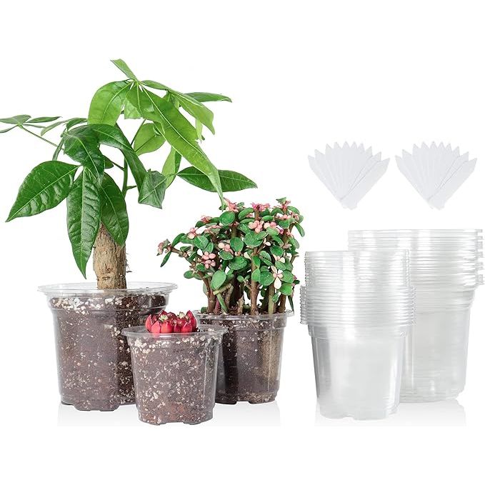 The 36 Packs Nursery Pots are a set of transparent plastic plant pots in three different sizes: 5 inches, 4 inches, and 3.5 inches. These pots are reinforced and come with drainage holes at the bottom, ensuring proper water drainage for healthy plant growth.