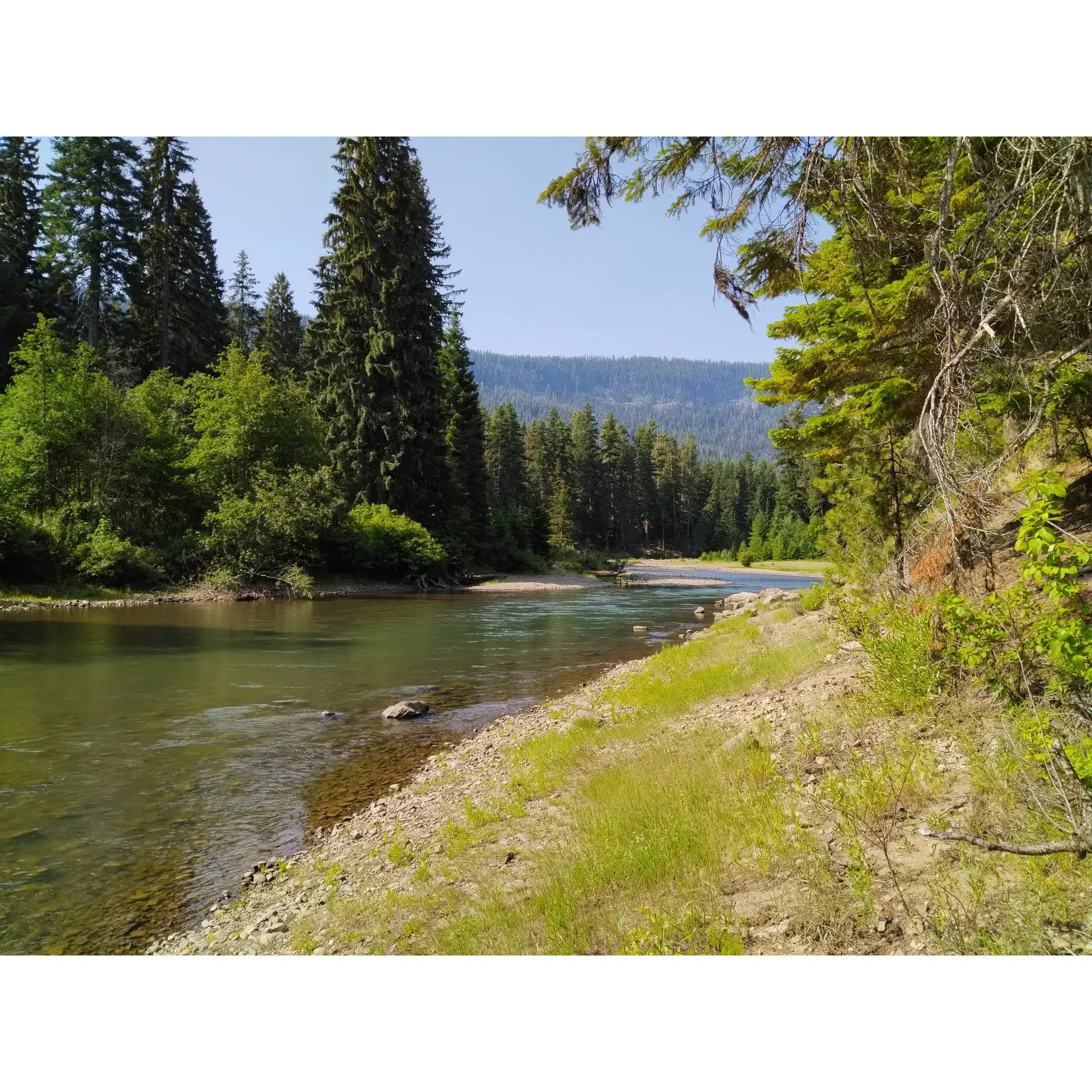 Clear Lake Campgrounds North is a tranquil oasis for lovers of the great outdoors, offering a serene escape into nature's embrace. With its prime location near the summit of White Pass along Highway 12, the journey immerses you in scenic beauty before you even arrive at your destination. Upon arrival, you are greeted with a breathtaking panorama that captures the essence of mountain tranquility.

The campsite is an idyllic setting for families and friends to gather and engage in a variety of recreational activities. It is a haven for avid anglers seeking the perfect catch in the clear, inviting waters of the lake, surrounded by lush greenery. The spacious campsites accommodate campfire gatherings where stories are shared and memories forged under the canopy of stars.

For those eager to immerse themselves in camping life, Clear Lake Campgrounds North provides ample opportunities to set up your home away from home amid the beauty of nature. With rules in place to ensure that the peaceful atmosphere is preserved, you can look forward to a restful nighttime symphony of natural sounds that lull you to sleep after an eventful day.

Accessibility is valued, allowing for two vehicles per spot with the option of bringing an additional car for a nominal fee, ensuring that your group can comfortably enjoy the stay together. Proactive campground staff are always on hand to maintain harmony and address any concerns, ensuring that every stay is a pleasant one.

For those planning to celebrate holidays in nature's lap, it is wise to arrive a couple of days early to claim the most idyllic spots, as the popularity of the campground makes it a sought-after destination for special occasions.

Clear Lake Campgrounds North is not just a place to pitch a tent; it is a hidden gem where mountain peace reigns supreme, a place that calls for return visits year after year to bask in the simple joys of fire, nature, camping, fishing, and cherished time with family. Description by ChatGPT.