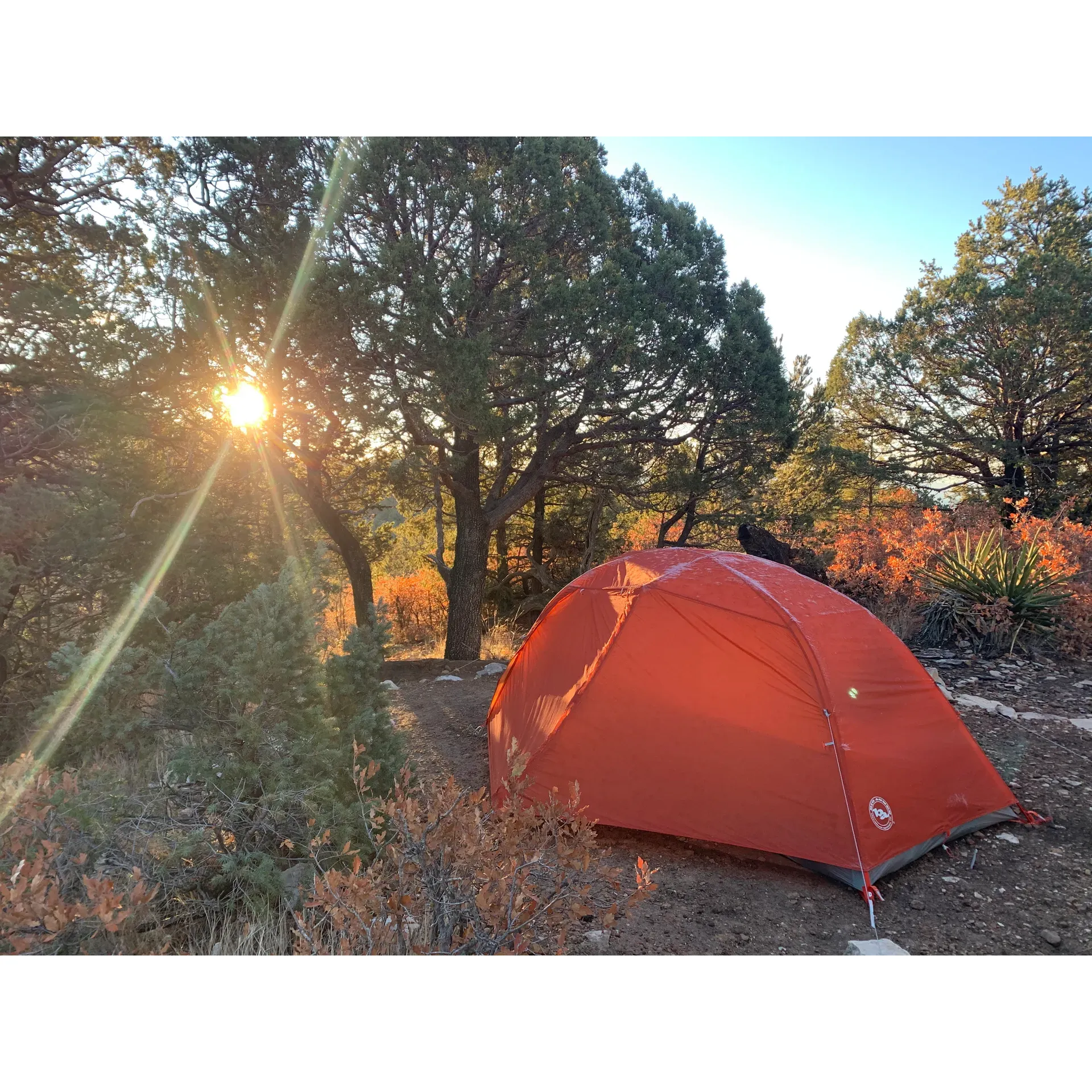 Pine Top Wilderness Campground is a haven for outdoor enthusiasts seeking a harmonious and sheltered experience in nature. The serene location is known for offering more protection from the wind than some of the surrounding areas, making it a preferred destination for campers who want to enjoy the great outdoors without the full brunt of the elements. 

The well-maintained campground is particularly friendly for hammock camping — a unique feature that allows guests to fully immerse themselves in the natural beauty and tranquility of the woodland surroundings. This feature is much appreciated by visitors looking to sway beneath the verdant canopy of trees and starlit skies.

Guests planning a visit to Pine Top Wilderness Campground are encouraged to call the park for the latest weather updates, ensuring they are well-prepared for their adventure. The importance of accurate, up-to-date climate information is acknowledged, facilitating an enjoyable and safe camping experience.

The campsite is notably pristine, with neat and clean pads that provide a comfortable and stable base for tenting. These well-preserved plots offer much-needed respite, especially to those who have triumphed over the rewarding challenge of a 3000-foot ascent to reach this tranquil retreat. Pine Top Wilderness Campground is a place where visitors are reminded to bring their own water, encouraging a self-sufficient and environmentally considerate approach to camping. 

Overall, Pine Top Wilderness Campground is celebrated for its inviting atmosphere, making it a great choice for both experienced and novice campers looking to escape the hustle and bustle and reconnect with nature. Description by ChatGPT.