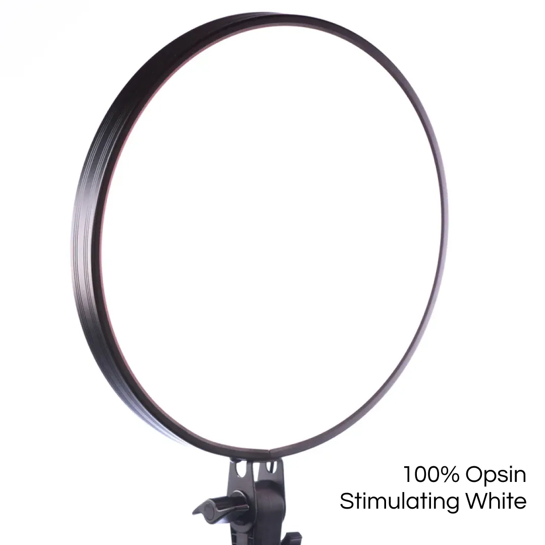 Ambient Sound Integration
Enhance your sensory experience by pairing the Sky Portal with ambient sounds. Create an immersive environment that soothes the senses and elevates your overall well-being.