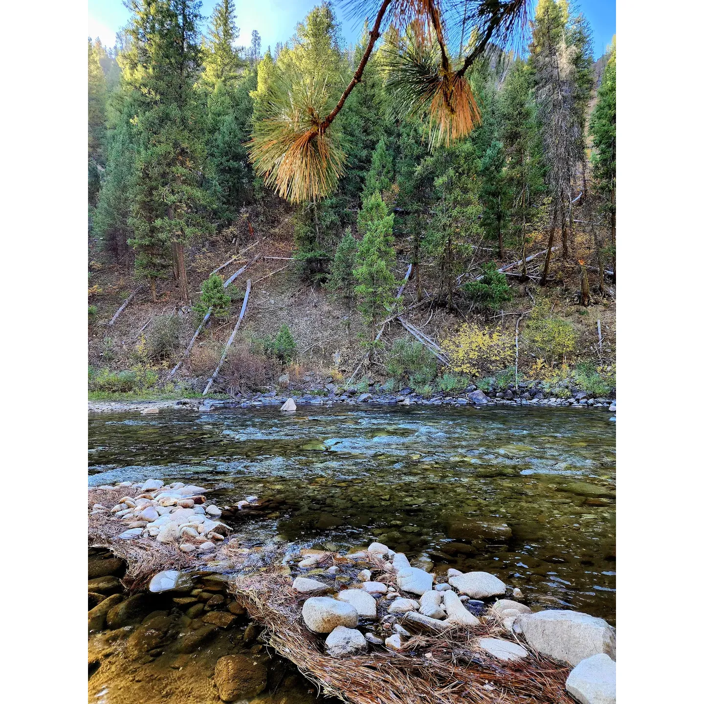 Bird Creek Campground is an idyllic retreat for outdoors enthusiasts seeking a serene escape into nature. With its prime locations right along the South Fork of the Boise River, campers at sites 1, 2, 4, and 5 enjoy the soothing sounds of flowing water and the privacy afforded by the surrounding natural vegetation. Despite the proximity to the road, a sense of solitude remains, allowing for a truly tranquil experience.

At this quaint campground, the simple amenities provided contribute to a classic camping adventure. Each site offers the convenience of picnic tables and fire rings, ready for campers to enjoy meals under the open sky or cozy up beside a crackling campfire. In addition, the thoughtfully-constructed wood-clad outhouses are maintained to enhance the comfort of your stay.

Bird Creek Campground is a treasure within the South Fork of the Boise area, offering an opportunity to unwind in a region that's yet to be overrun by crowds. The campground layout ensures that spaces are nicely separated, giving each visitor their own slice of the great outdoors. While it may require some maneuvering for larger 30ft trailers, the reward is a delightful and intimate spot amidst the pristine wilderness environment.

Visitors to the campground commend the cleanliness of the area and the added benefit of having the river at their doorstep. Though compact, this pleasant campground is a gem for those who prefer tent camping or have smaller trailers, providing just the right balance between wilderness charm and essential amenities. Quietness and peace are the hallmark qualities here, promising a restorative and memorable escape into Idaho's beautiful off-the-grid landscapes.
 Description by ChatGPT.