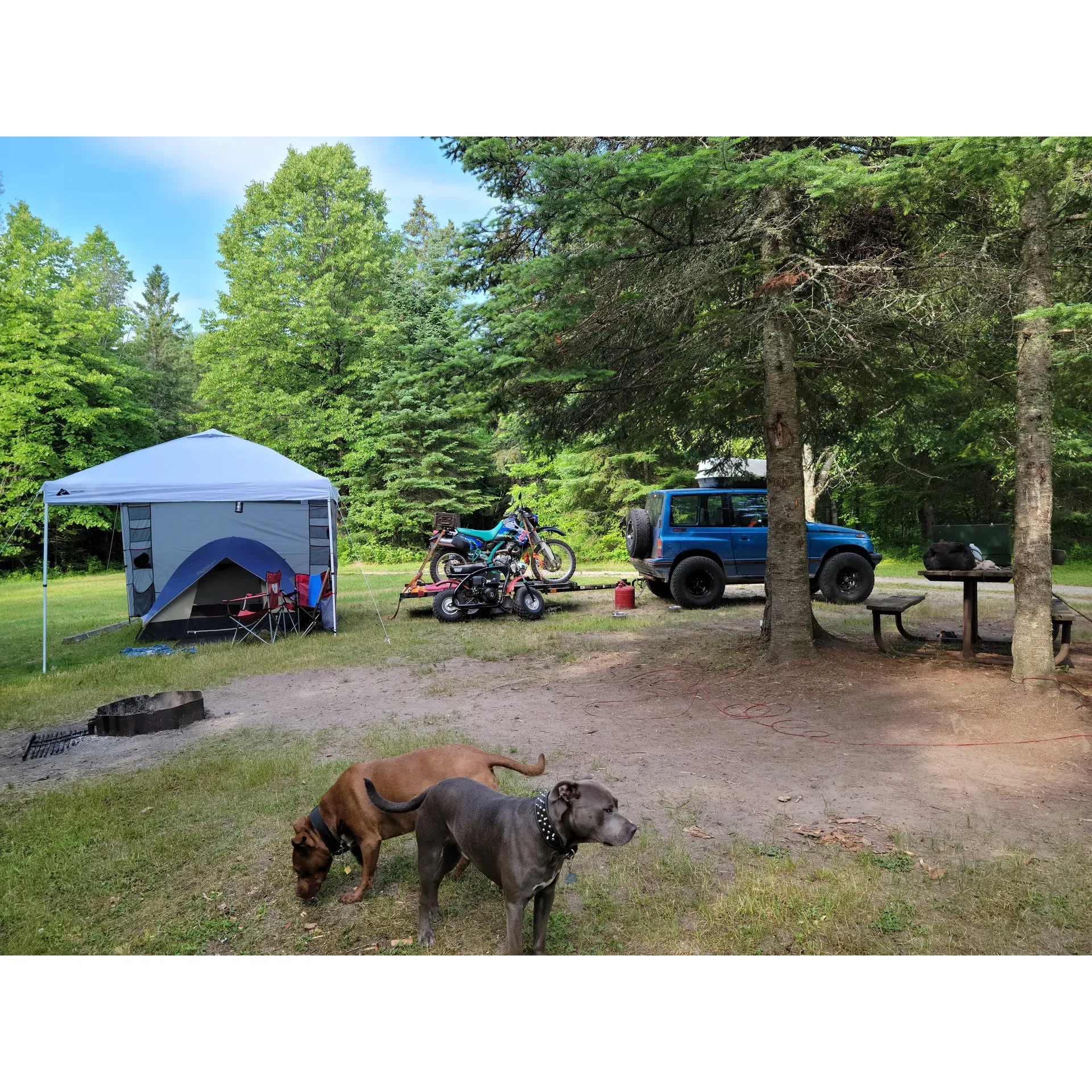 Cottonwood Lake Campground offers a tranquil retreat for outdoor enthusiasts and their furry friends. Its scenic sites provide a mix of sun-drenched open spaces and ample shaded areas, perfect for pitching a tent and enjoying the natural surroundings. The campground's minimalistic charm is complemented by essential amenities such as a hand-operated well pump providing fresh water and a clean, serviceable vault toilet.

Each camping spot comes equipped with a fire ring and a picnic table, allowing guests to indulge in campfire meals and gatherings under the stars. The lake, a short 50-yard stroll through the serene woods, invites campers to explore and enjoy the peaceful water's edge. The campground's secluded setting is perfect for travelers looking to escape the hustle and bustle, offering a serene atmosphere that often feels like a private oasis.

For long-time visitors and newcomers alike, Cottonwood Lake Campground remains a treasured destination for those who cherish rustic experiences, proximity to a lovely lake, and the solace of a quiet, undisturbed natural environment. Whether visiting for a night or settling in for a longer stay, Cottonwood Lake Campground promises a memorable outdoor adventure with the simple pleasures of camping life. Description by ChatGPT.