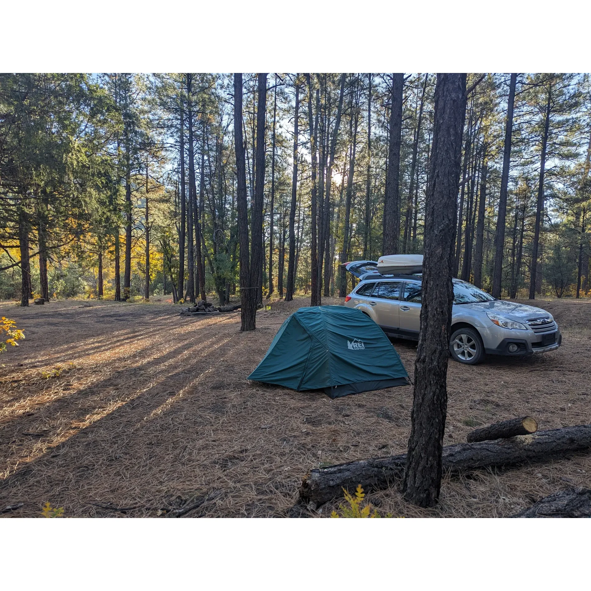 Head of the Ditch Campground is a charming primitive campground that boasts an array of natural beauty and tranquility, positioned conveniently just off the highway. It carries historical significance as the former site of the lively Luna New Mexico Barter Faire, adding a touch of nostalgia for visitors who enjoy locales with a storied past.

Guests to Head of the Ditch Campground are greeted with the simplicity of nature, offering well-maintained campsite spaces that come equipped with a basic pit toilet facility for convenience. The location is known for its peaceful atmosphere, particularly attractive to those looking to escape the bustle of everyday life. On nights when the campground is less crowded, the quietude is profound, allowing campers to enjoy the symphony of silence under a tapestry of stars, only enhanced by the luminescent glow of a rising moon which bathes the area in ethereal beauty.

The natural surroundings are indeed a highlight, with a babbling creek that weaves through the landscape adding a soothing soundtrack to each stay. Visitors can explore the surrounding nature and trails, providing a perfect backdrop for hikers and outdoor enthusiasts. The campground's sheer cleanliness is a testament to its visitors' respect for the environment, with people often leaving it even cleaner than they found it, underscoring a community of campers who are harmoniously connected to the land.

In the spirit of adventure and camaraderie, hidden treasures and small surprises like a birthday-celebratory hidden egg encased with a dollar coin can sometimes be discovered, enhancing the sense of wonder and playfulness the campground imbues. Although the site is at its core primitive, the magic of Head of the Ditch Campground lies in its picturesque setting, the chance to truly disconnect and immerse oneself in serenity, all while reliving a slice of local heritage. Description by ChatGPT.