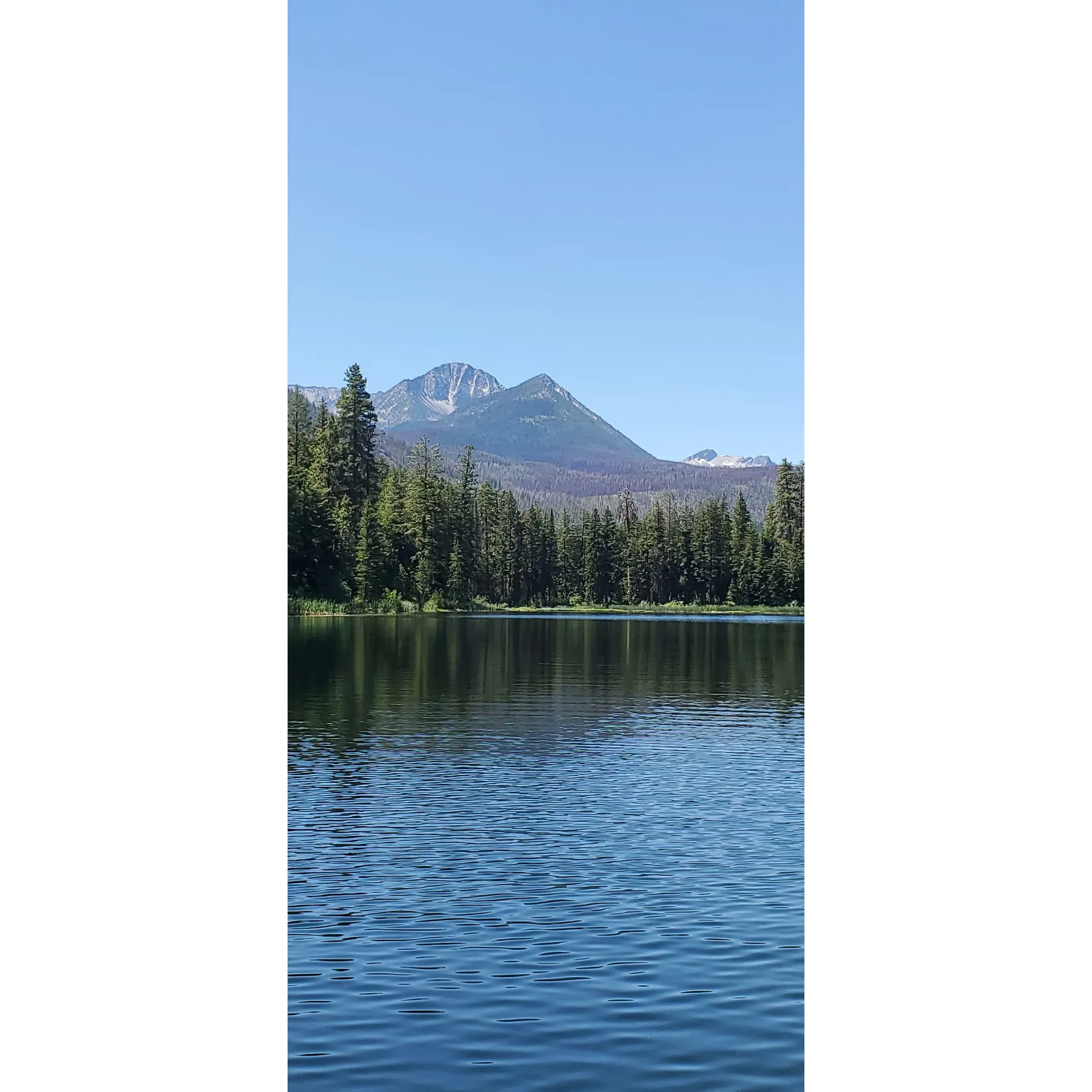 Blackpine Lake Campground offers an idyllic escape where the tranquility of nature meets outdoor adventure. Set alongside a captivating lake that is a haven for fishing enthusiasts, visitors are known to reel in impressive catches, celebrating both the thrill of the catch and the serene beauty of the surroundings. The campsite, highly regarded for its splendor, provides a picturesque backdrop that has guests eager to return.

Families find Blackpine Lake Campground to be a welcoming, child-friendly destination where both kids and adults can revel in the great outdoors. The area's splendor is amplified by the breathtaking scenery and a peaceful lake perfect for waterfront activities. Although swimming opportunities are weather-dependent, the inviting waters are just waiting to be enjoyed on sunnier days.

For those who admire aquatic life, the lake is home to a variety of fish, including the cutthroat trout, which can be seen leaping near the dock, much to the delight of eager anglers. Visitors may also explore the local flora and fauna along a charming walking trail that offers stunning views of the landscape.

The journey to Blackpine Lake Campground is part of the adventure, with a long gravel road setting the stage for the nature experience ahead. Though the road may be narrow in places, caution and slower speeds ensure a safe arrival to this spectacular destination. While larger travel trailers are advised to take note of the road's dimensions, the allure of the campground is worth the trek for those seeking a peaceful retreat.

Above all, Blackpine Lake Campground encapsulates an atmosphere of pure, unspoiled beauty, where every visit promises a serene and revitalizing connection with the great outdoors. It's a place where the simplicity of camping blends effortlessly with the essence of nature's elegance. Description by ChatGPT.