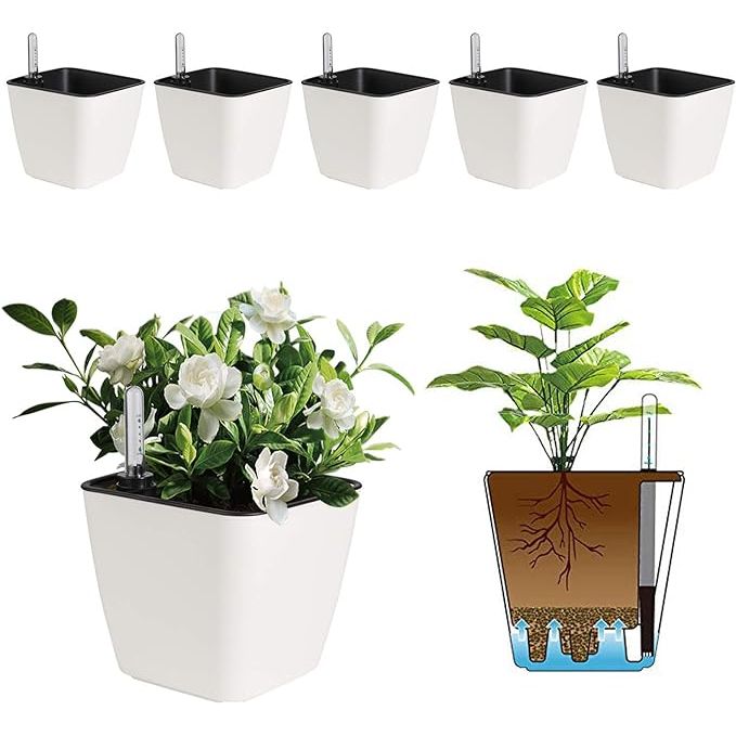 The T4U 5.5 Inch Self Watering Plastic Planter is a set of 6 modern decorative planters that are perfect for housing various house plants, flowers, herbs, and African Violets. The matte white finish provides a clean and contemporary look that will complement any home decor style.