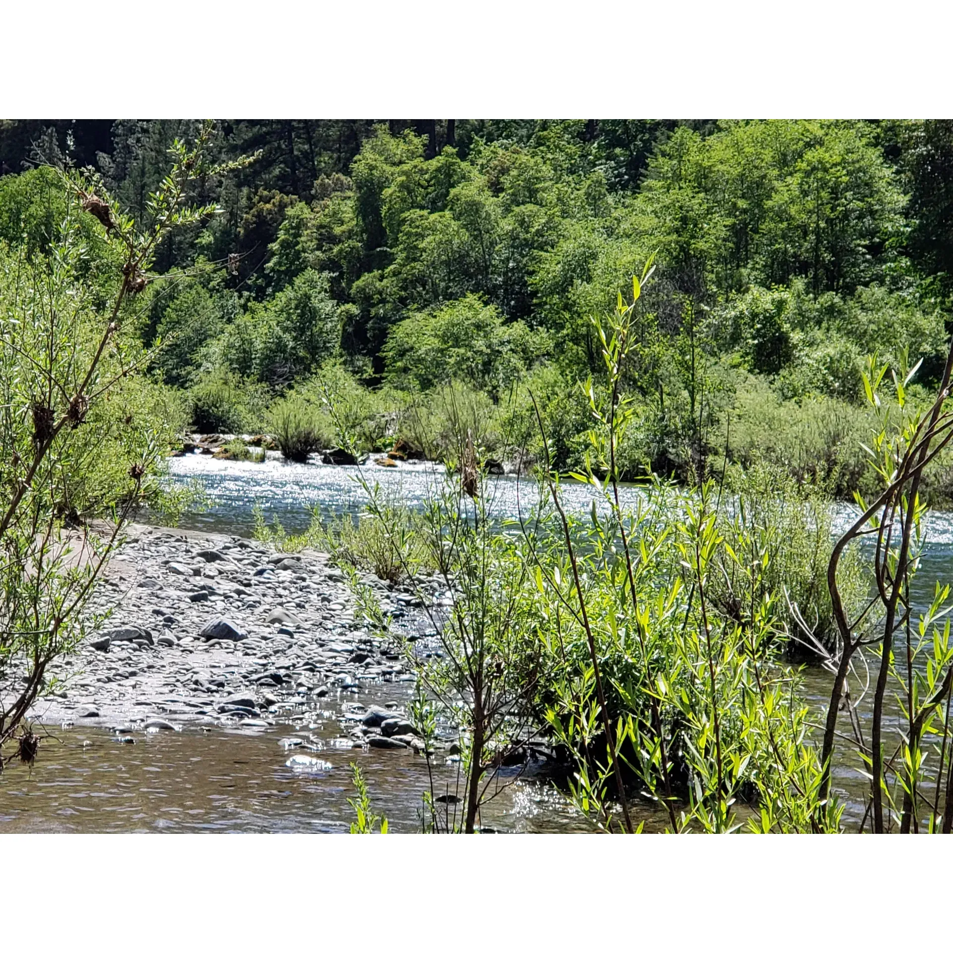 Skunk Point Group Campground is an inviting retreat for nature enthusiasts and those looking to forge lasting memories with friends and family. Tucked away in a serene landscape, the campground is renowned for its spacious group sites, accommodating larger gatherings with ease and comfort. Visitors can bask in the beauty of the great outdoors, with ample opportunities for picturesque hikes and bird watching.

The well-maintained facilities complement the natural surroundings, offering convenience without compromising the rustic camping experience. With fire rings available at each site, campers can enjoy the quintessential pleasure of roasting marshmallows under a canopy of stars. The close proximity to local trails and waterways provides the perfect backdrop for daytime adventures, including fishing, kayaking, and exploring the diverse flora and fauna.

Skunk Point Group Campground is celebrated for its peaceful ambiance, allowing guests to escape the hustle and bustle of everyday life. The sense of community here previles, as friendly campers often gather for shared meals and the exchange of stories around crackling campfires. It's a place where the days are filled with laughter and the evenings are marked by the gentle lullabies of nature.

For those looking to disconnect and reconnect with both nature and loved ones, Skunk Point Group Campcampground is an idyllic destination. Its combination of natural charm, friendly atmosphere, and thoughtful amenities makes it a must-go for groups seeking an unforgettable camping experience. Whether it's for a weekend getaway or an extended stay, visitors leave with their spirits rejuvenated and hearts full of cherished moments. Description by ChatGPT.