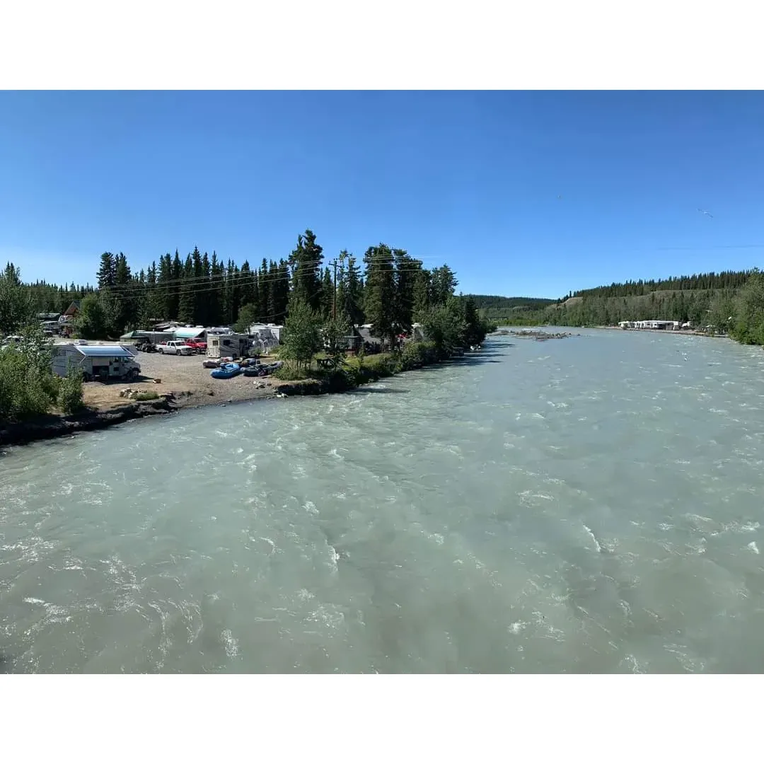 Salmon Grove Campground stands out as a haven for outdoor enthusiasts seeking a premier fishing and camping experience. With well-maintained facilities and a landscape that offers both privacy and scenic beauty, this destination lures anglers and campers yearning for a serene getaway. The river, with its fast-flowing waters, provides an idyllic backdrop for those who fancy starting their day casting lines in utmost tranquility—sometimes even in their pajamas.

Guests are consistently impressed with the warmth and professionalism of the staff, led by passionate owners who ensure a personable adventure attuned to Alaskan hospitality. The guides, including the highly praised Jeremy and Dan, go above and beyond, extending trips to give every guest an excellent chance at a rewarding catch. With a reputation for staying out longer than necessary, these guides receive top marks for their commitment to guest satisfaction.

Replete with first-rate equipment, Salmon Grove Campground offers a fishing experience that is both accessible and fruitful, catering to seasoned fishers and novices alike. The excursions along the Gulkana and the Copper rivers are remarkable, not only for the abundant fishing but also for the delightful conversations and sumptuous meals that add to the charm of the trip. Guests come away with more than just their catches; they leave with cherished memories and a deeper appreciation for the Alaskan wilderness.

Beyond fishing, the campground provides ample amenities, including clean showers, laundry facilities, and a fish cleaning station. The upcoming addition of an industrial vacuum sealer further showcases their dedication to delivering a well-rounded service that takes care of visitors from start to finish.

Enthusiastic, sincere, and flexible, the owners make booking a trip effortless, even at short notice. Salmon Grove is a place where camaraderie flourishes, as guests bond over the joy of a shared hobby and the thrill of the catch. With its blend of exceptional service, world-class fishing, and a picturesque setting, Salmon Grove Campground is a true gem for those seeking the quintessential Alaskan adventure. Description by ChatGPT.