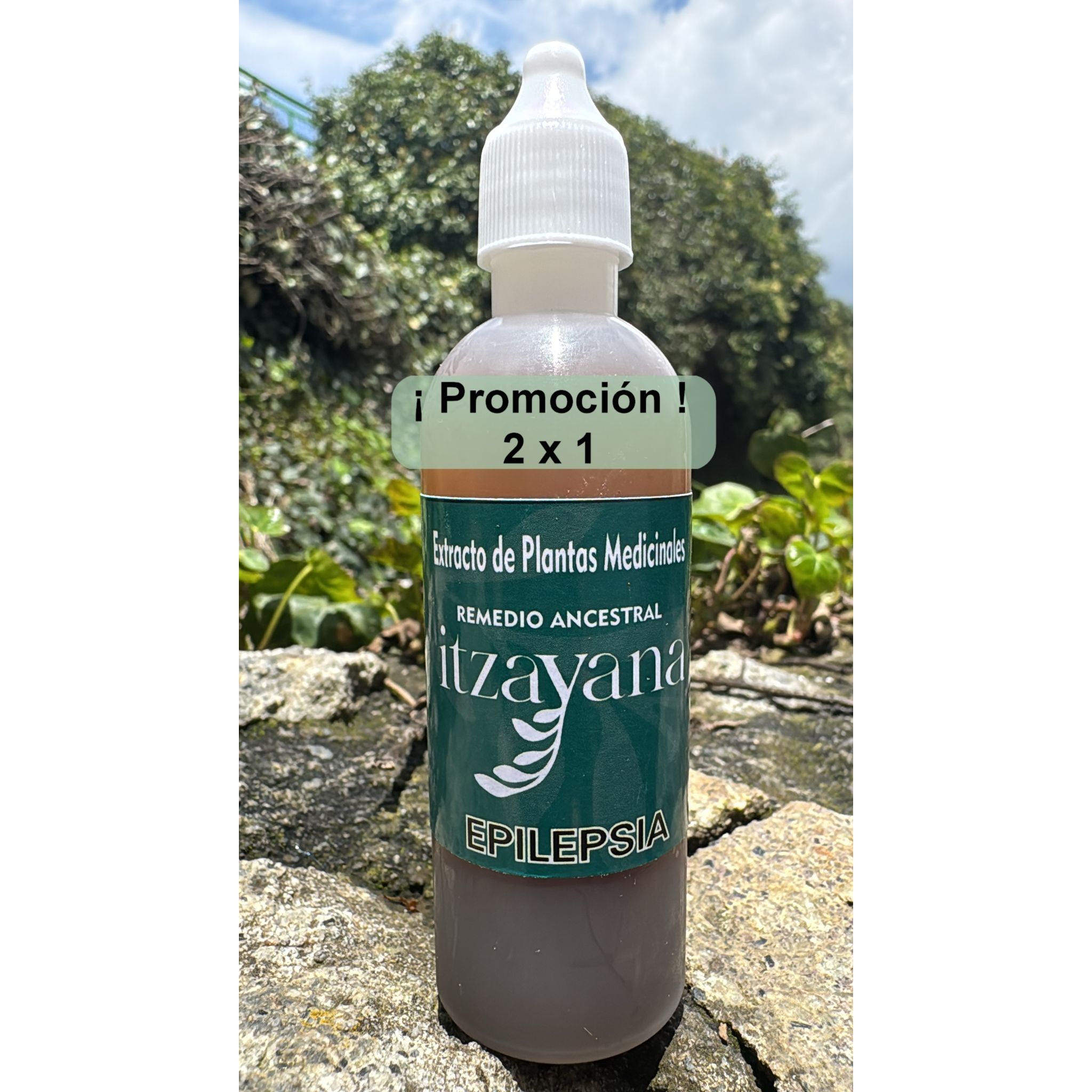 The Itzayana-Tincture for Epilepsy is an innovative product that combines the ancient wisdom of herbal medicine with selected natural ingredients to provide support to those facing this condition. This formula is designed to be a complement in the management of epilepsy, offering a natural and effective alternative.