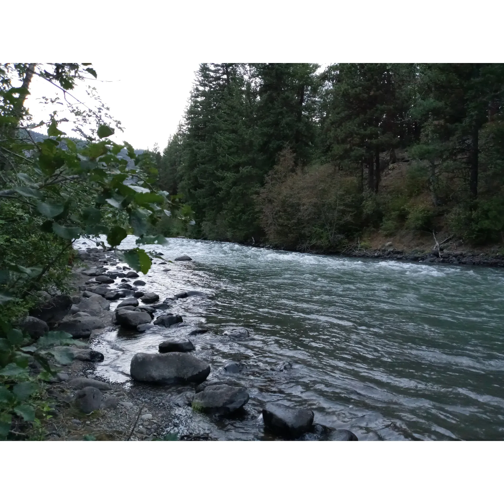 Tieton River Rimrock offers an exhilarating outdoor escape for adventurers and nature enthusiasts looking for an exceptional experience in the wilderness. The company prides itself on timely departures and impresses with its highly organized, professional, and safety-conscious guides, ensuring every adventure is well-coordinated and secure. Tailoring to the dynamic spirit of their customers, the guides show remarkable adaptability, even when faced with a high-spirited crowd. They expertly enhance the excitement by engaging with the river's features, adding an extra thrill to the adventure.

Loyal patrons, some returning year after year, cherish the wonderful isolation and the natural beauty that Tieton River Rimrock boasts. This destination is a paradise for outdoor lovers, providing a plethora of activities including hunting in a low-pressure environment, ensuring an unforgettable experience while taking in the ever-changing landscapes.

For camping aficionados, Tieton River Rimrock is a quintessential spot, especially during the off-season when tranquility reigns. Offering a primitive camping experience without the distractions of modern amenities, it invites campers to immerse themselves in nature, practicing pack-in, pack-out ethics to preserve the pristine environment.

Conveniently situated near a river and within walking distance to a campground, this idyllic pit stop is perfect for travelers seeking to unwind amidst the picturesque settings. Reviewers consistently highlight the company's exceptional service and the remarkable experiences they provide, affirming their eagerness to return. The high degree of satisfaction and the enthusiasm to revisit stand as testaments to Tieton River Rimrock's dedication to creating lasting memories for every guest that passes through. Description by ChatGPT.