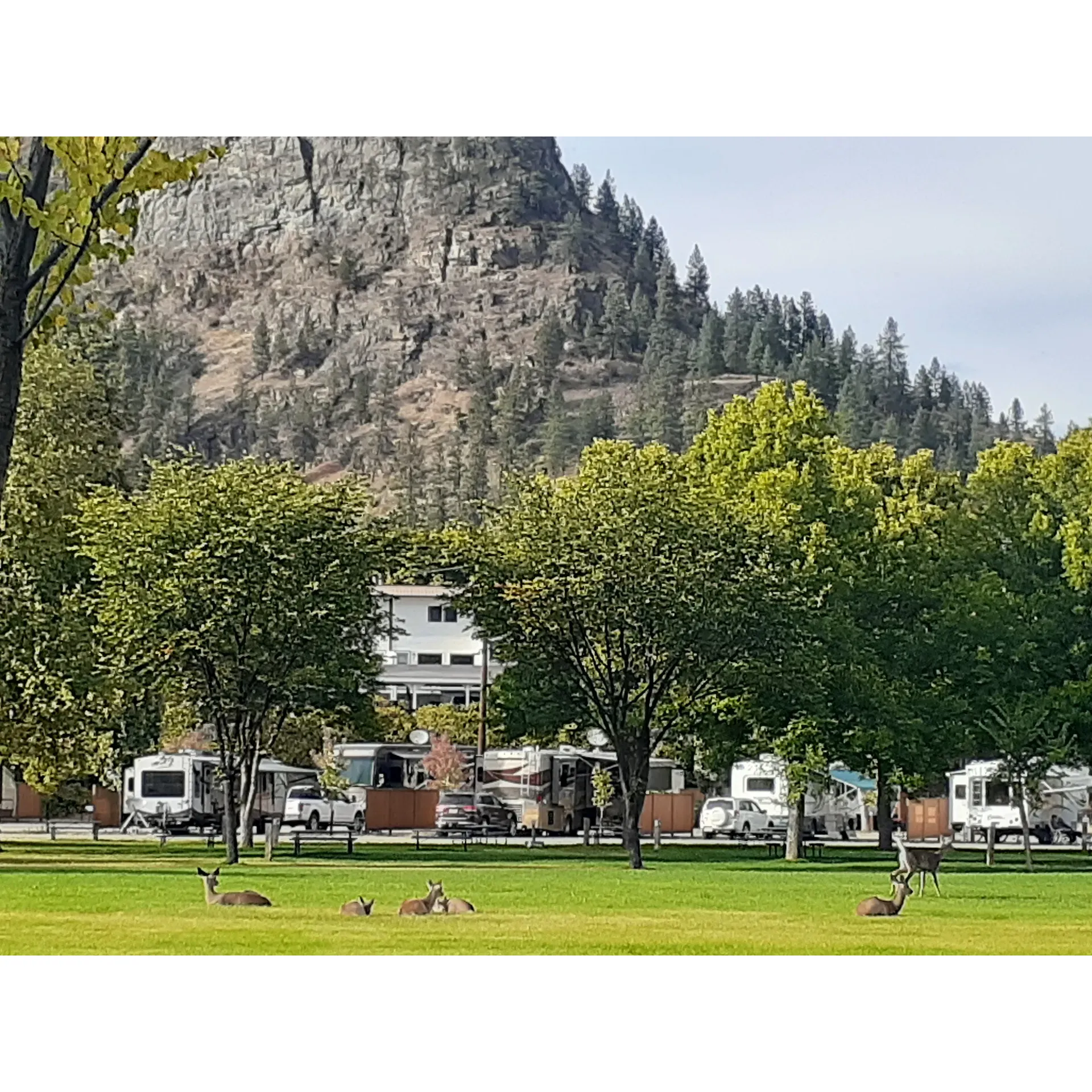 Grand Forks Municipal Campground offers guests a serene and immaculate setting for both camping and adventure right along the scenic Granby/Kettle River. Visitors are greeted by friendly and attentive staff who go the extra mile to ensure the comfort and satisfaction of their guests. Focusing on individual needs, such as assisting with choosing shaded spots perfect for furry companions, the campground exhibits exemplary customer service.

Accommodations range from gravel back-in to paved pull-through sites, all equipped with modern and well-maintained hookup boxes. To enhance privacy and offer a sense of seclusion amidst the community atmosphere, the sites are thoughtfully separated by charming wooden fences.

For those who prefer the simplicity of tent camping, the campground doesn't disappoint. It presents well-maintained, flat grassy areas designated for tenters—in harmony with nature yet providing all the necessary amenities. The attention to detail extends to the cleanliness and upkeep of facilities—with bathrooms and showers that are not only spotless but also updated to offer a comfortable and reassuring experience.

The campground's strategic location places guests within easy walking distance of a myriad of conveniences, including local stores like Dollarama, Fields, and Save on Foods, as well as various dining options. It offers the perfect balance of outdoor tranquility and urban accessibility.

Entertainment and recreational activities abound, with features such as a large grassed park, an exhilarating BMX track, and a delightful spray park for children, all just moments away. Additionally, guests can enjoy the company of local wildlife, as deer frequently grace the area, adding to the rustic charm of their stay.

For the active traveler, the campground boasts proximity to the Trans Canada Trail, inviting exploration and adventure. Guests can partake in local community events or indulge in regional culinary delights, like an authentic Doukobour Borscht, attesting to the rich cultural tapestry that surrounds the location.

Grand Forks Municipal Campground is not just a place to stay; it's a peaceful retreat that offers a connection to nature, community, and all the comforts of a well-appointed outdoor experience. Whether seeking solace in the gentle sounds of nature or the convenance of nearby amenities, this campground is a wonderful escape that promises a memorable stay for every visitor. Description by ChatGPT.