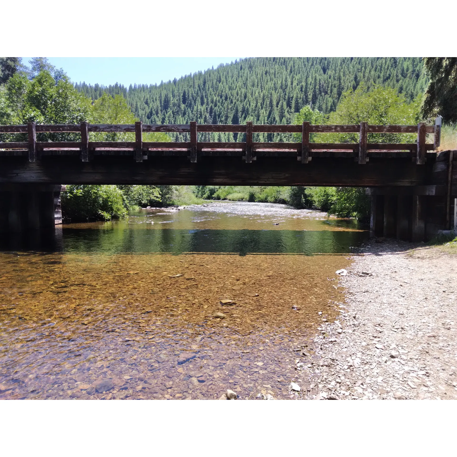 Experience the serenity and timeless charm of Lolo Creek Campground and Picnic Area, where generations of families have crafted unforgettable outdoor memories. This treasured destination is a haven for campers seeking an authentic connection with nature. With spacious, leafy sites that provide ample shade and solace from the day's warmth, guests find solace immersed in the tapestry of woodland tranquility.

Lolo Creek Campground boasts a range of amenities to enhance the rustic outdoor experience. Each carefully maintained campsite offers a convenient picnic table and a fire ring, perfect for cozy gatherings and marshmallow roasts under the starlit sky. Numerous sites also provide the soothing ambience of a creek-side locale, where the gentle murmurs of flowing water lend an unparalleled soundtrack to your stay.

Mindfully provided for camper comfort, potable water sources are easily accessible, ensuring refreshment and cooking needs are met with ease. While the campground embraces its primitive charm, it includes well-situated vault toilets that are kept clean for visitor convenience. Environmentally conscious disposal facilities, such as dumpsters, are available to promote preservation of the pristine surroundings.

Lolo Creek remains a beloved spot for those who appreciate the simplicity of nature; a place free from the distractions of modern life, as it’s an oasis unhindered by cell phone signals and internet service, allowing guests to fully detach and immerbrate in the natural world.

Guests are advised to arrive with anticipation, as the campground operates on a first-come, first-served basis, providing an element of adventure to the arrival experience. While seclusion and privacy are hallmarks of many sites within the campground, visitors desiring a quieter ambiance are encouraged to select sites further from the road to ensure the natural sounds of Lolo Creek fill their time spent in the wild.

Return to the roots of outdoor recreation at Lolo Creek Campground and Picnic Area, where the world slows down, and life's simplest pleasures are rediscovered in the great outdoors. Whether it's the nostalgia of a family tradition or the thrill of a new adventure, this cherished retreat invites all who seek harmony with nature and a breath of fresh air away from the hustle of everyday life. Description by ChatGPT.